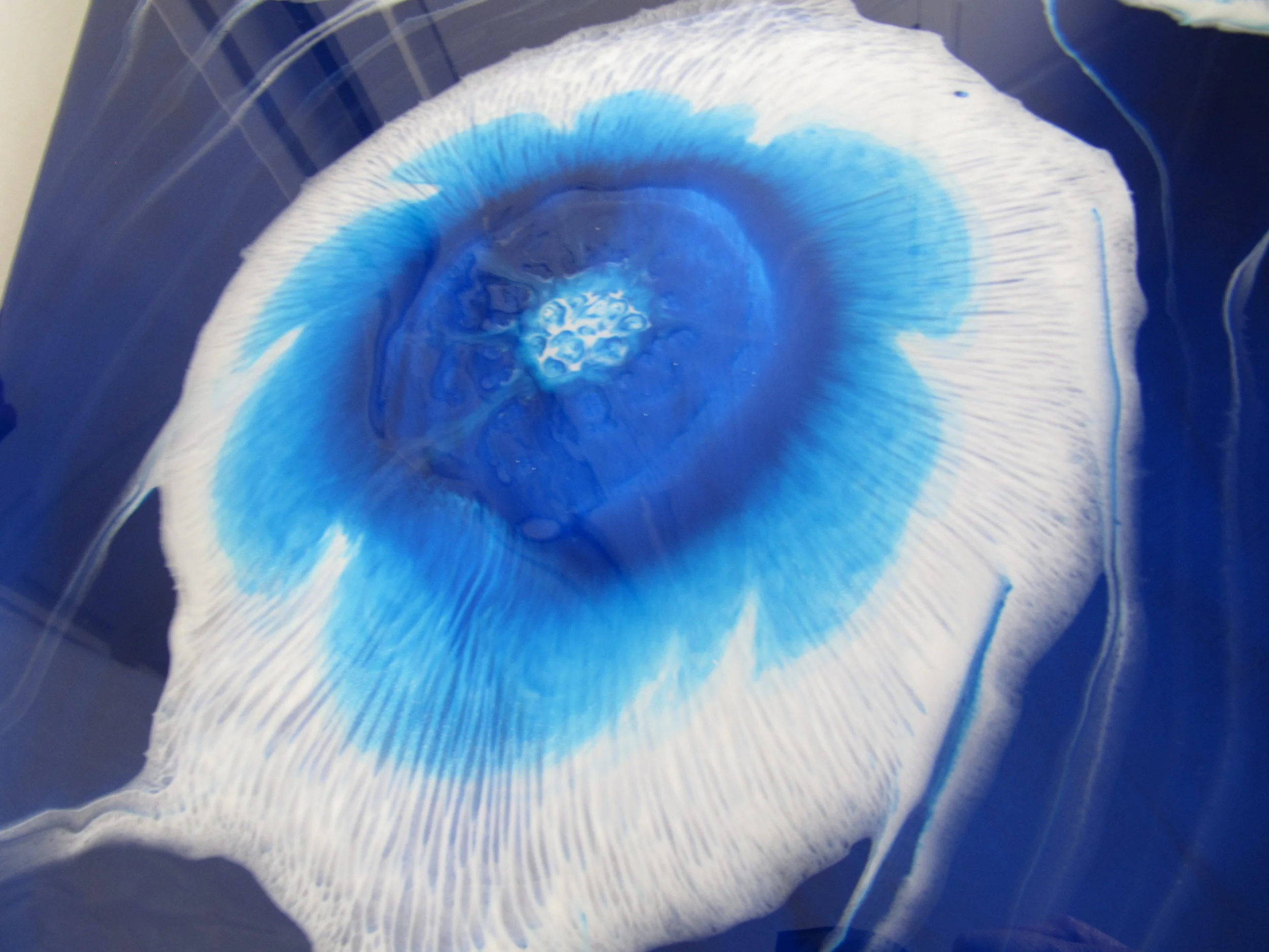 Blue Life close-up showing texture.jpg