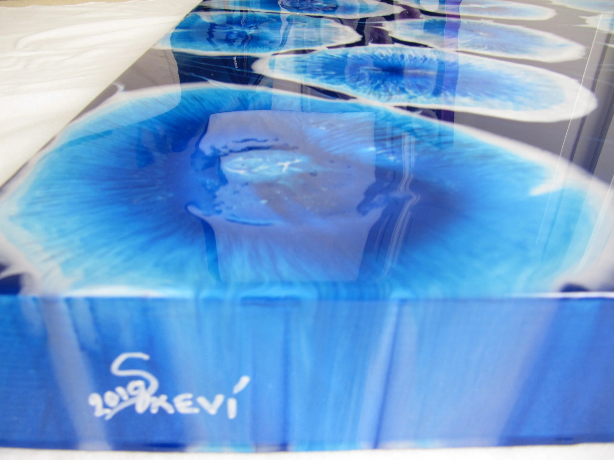 Blue Life signed.jpg