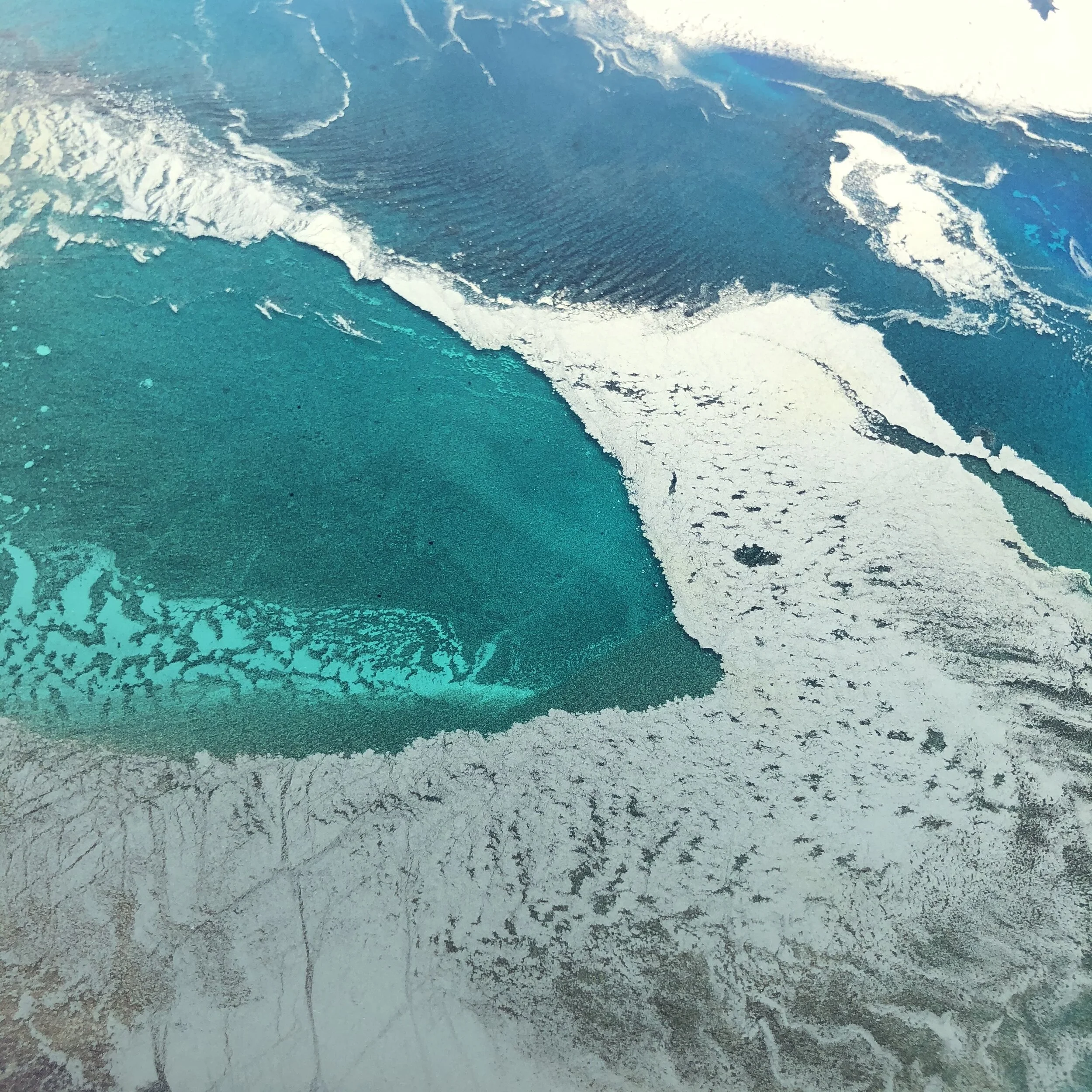 Myriad of Gold13.JPG