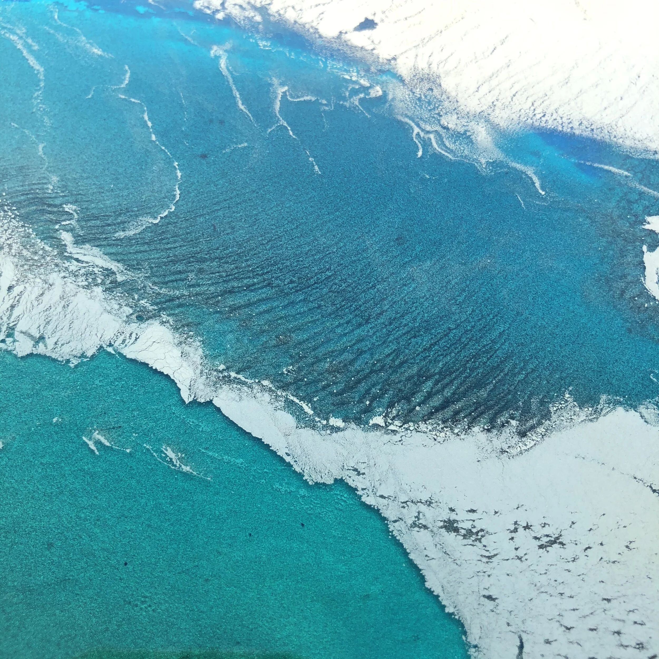 Myriad of Gold14.JPG