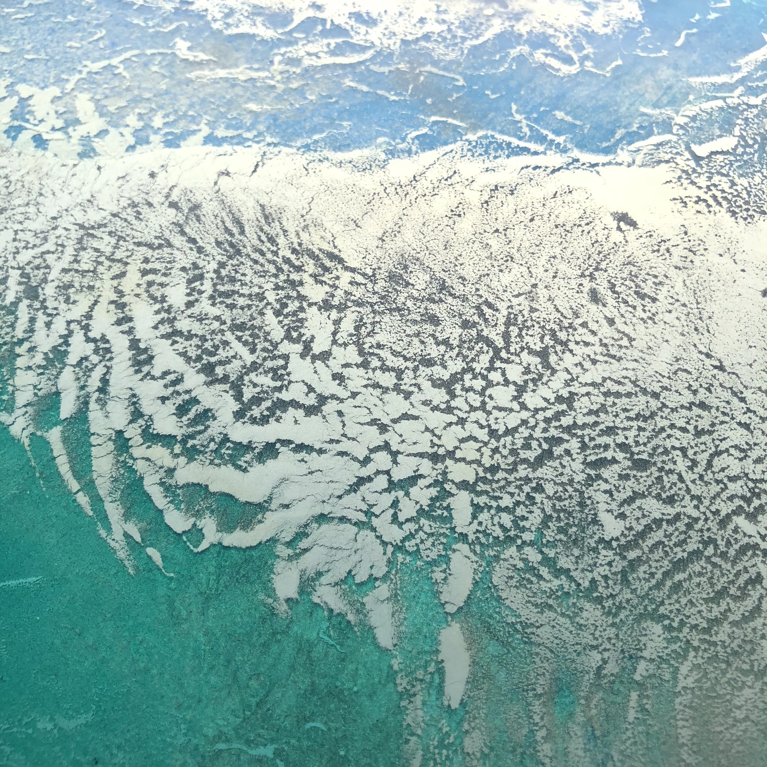 Myriad of Gold16.JPG