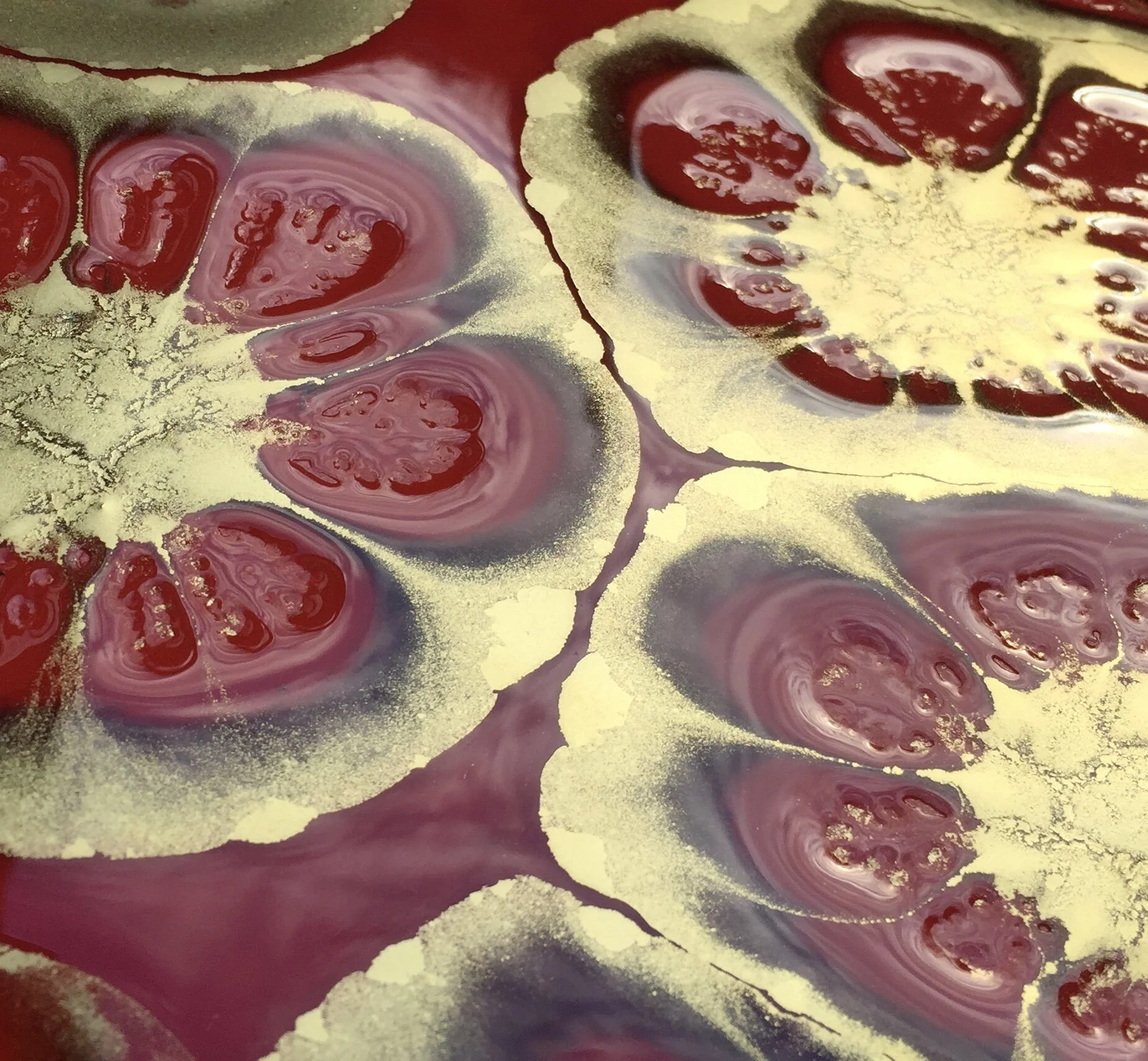 Forever in Love CU4.jpg