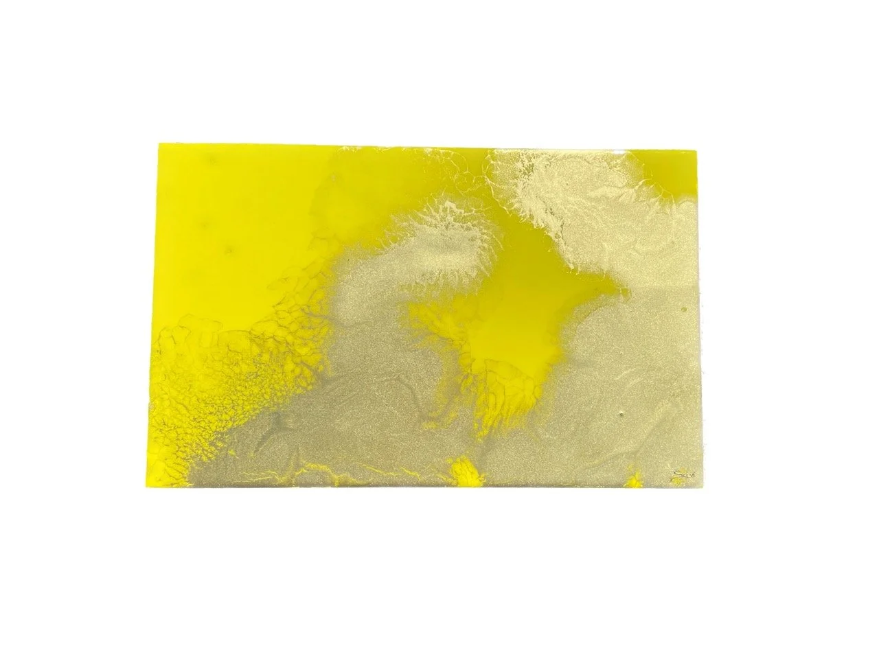 IMG_6419 Background Removed Large.jpeg