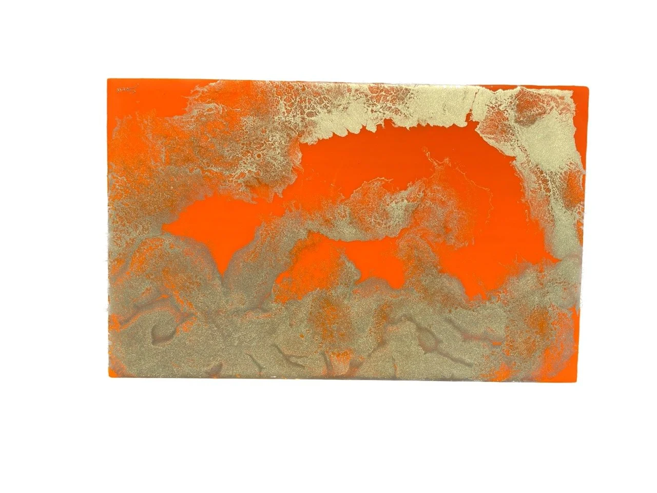 IMG_6421 Background Removed Large.jpeg