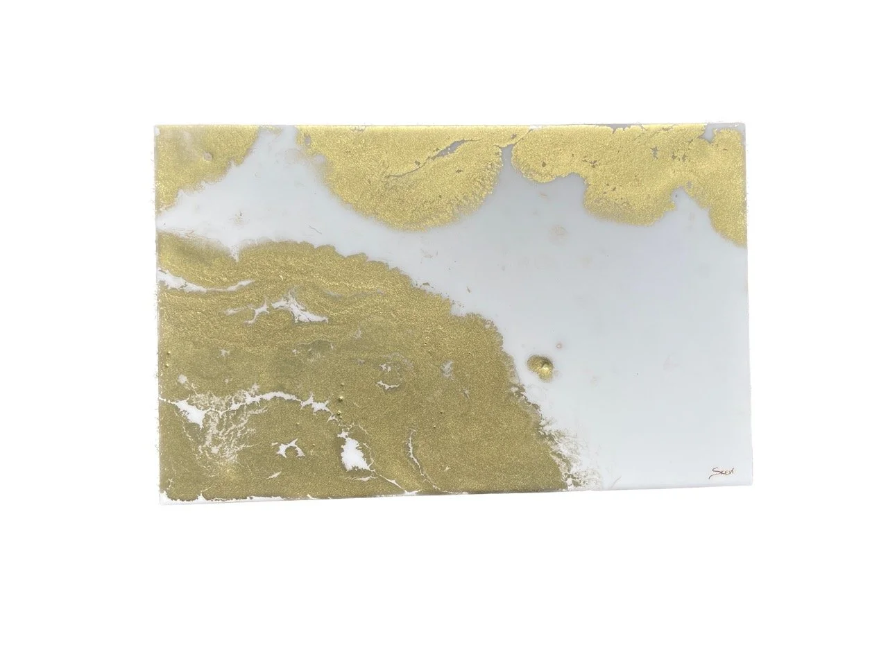 IMG_6427 Background Removed Large.jpeg