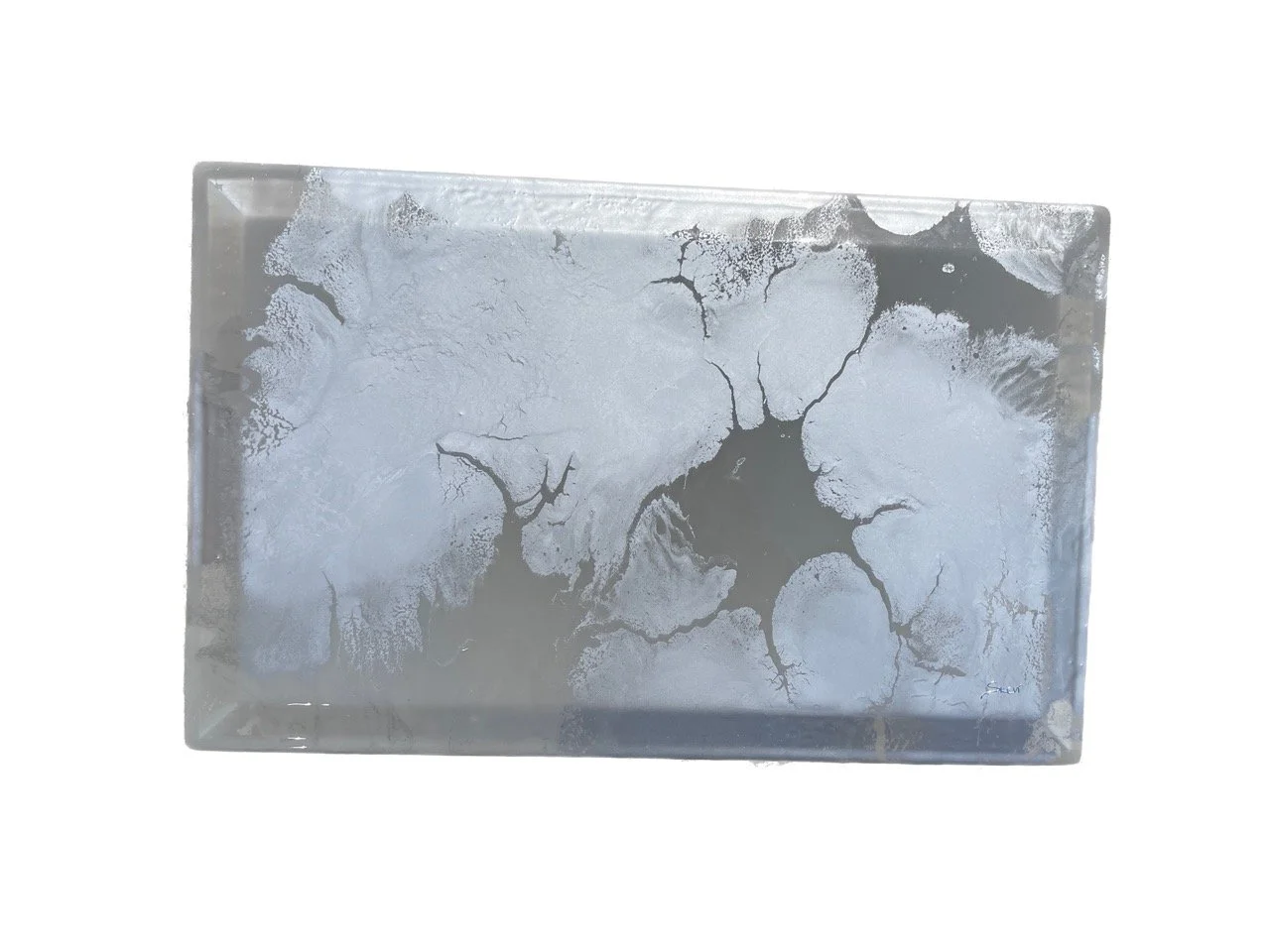 IMG_6429 Background Removed Large.jpeg