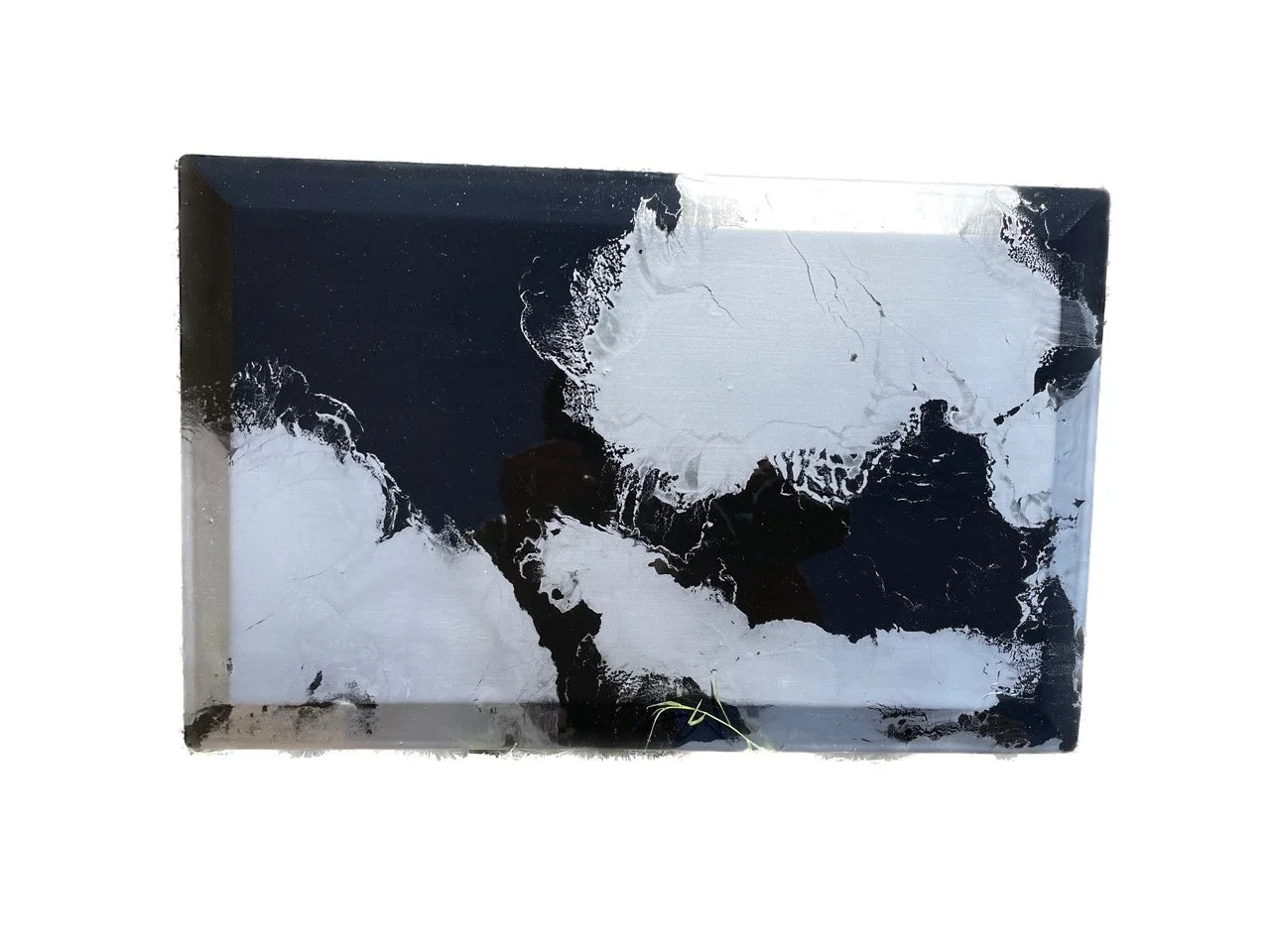 IMG_6431 Background Removed Large.jpeg