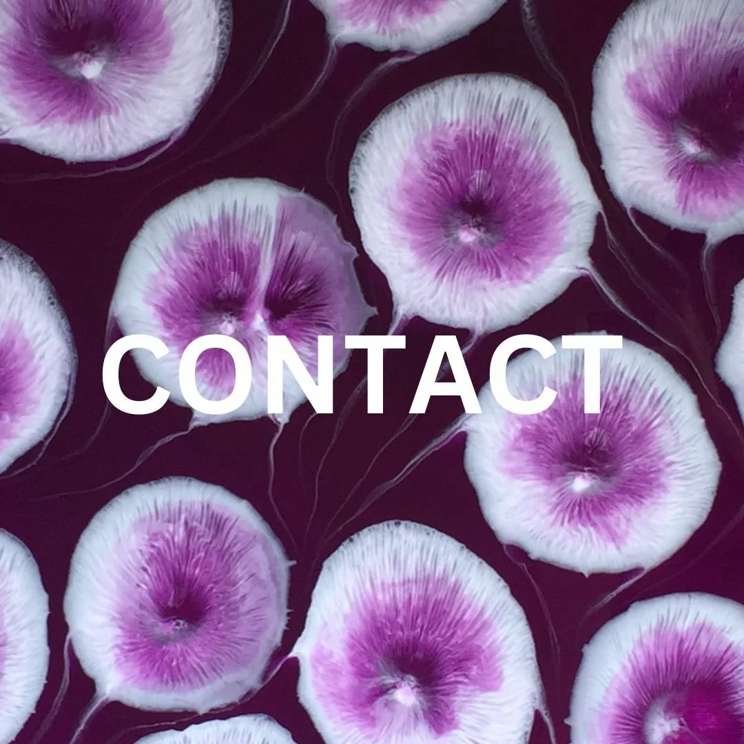 CONTACT.jpg
