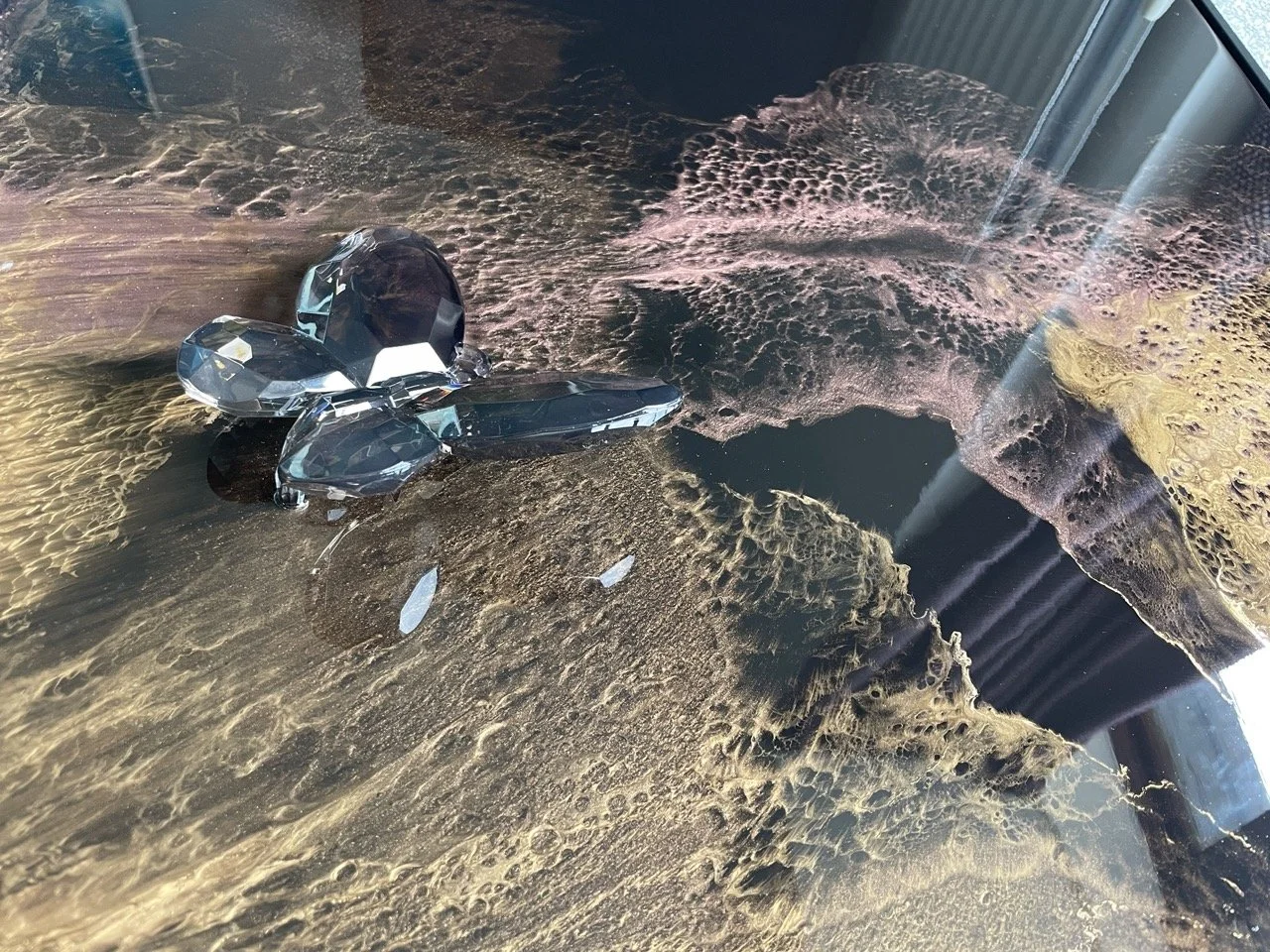 IMG_6238 2 Large.jpeg