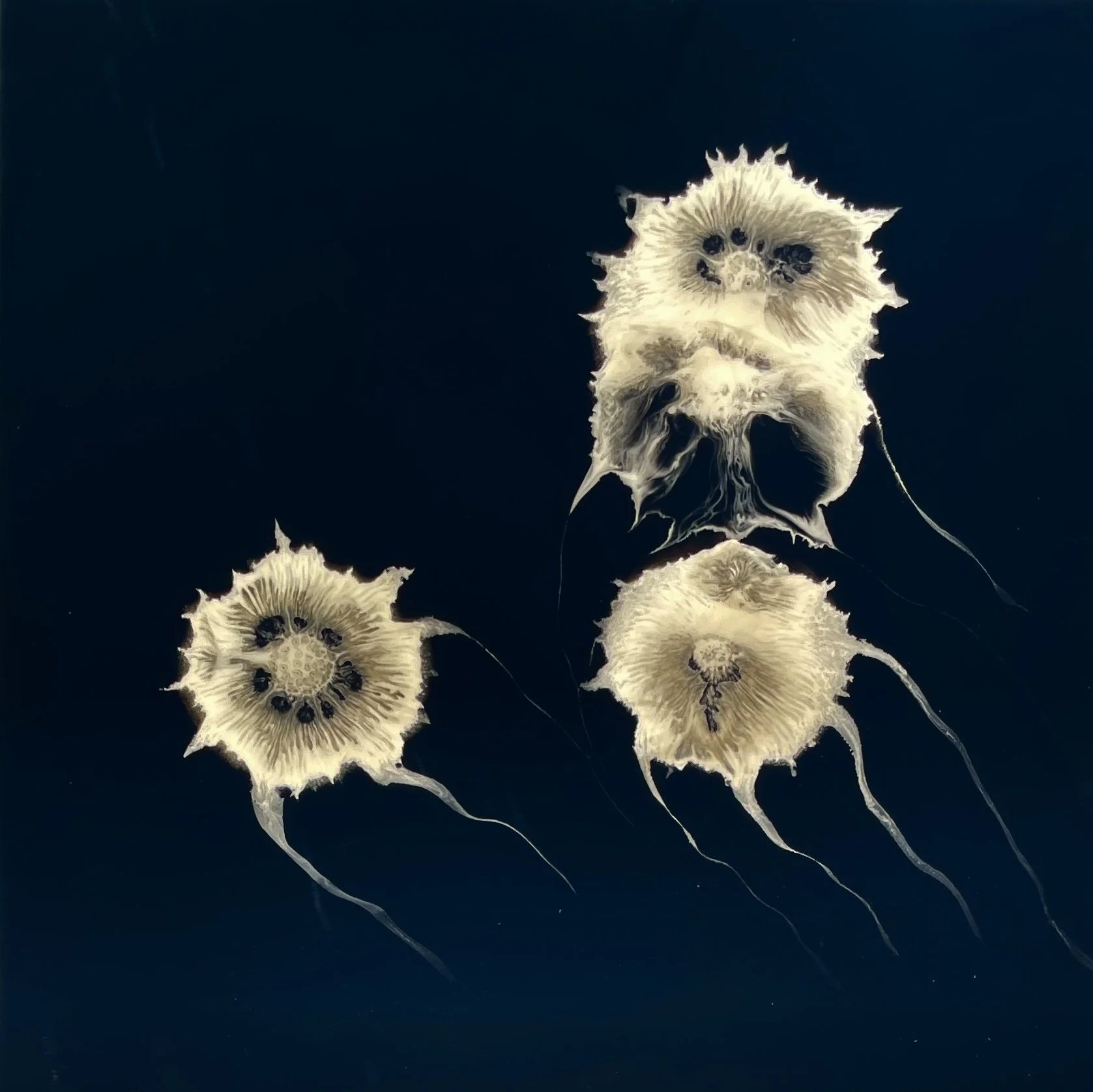 Brave the Wave 60 x 60cm.jpg