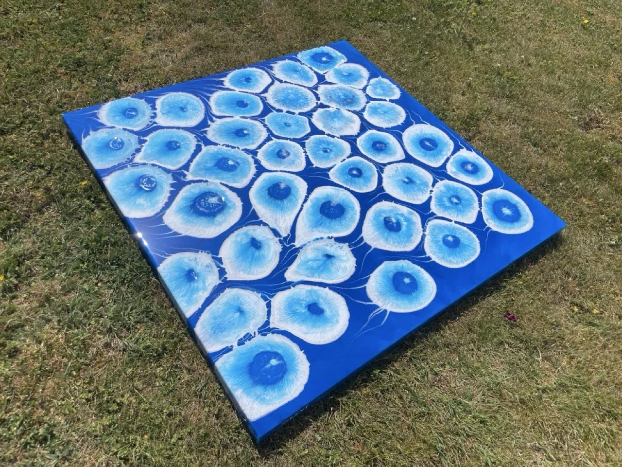 IMG_0021 Large.jpeg