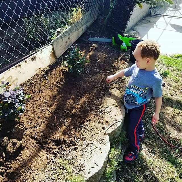 Kids wanted to help garden and clean the back yard