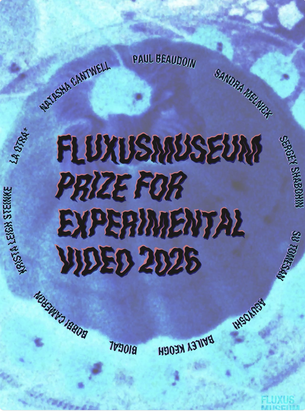 Fluxus Museum Prize in Experimental Video