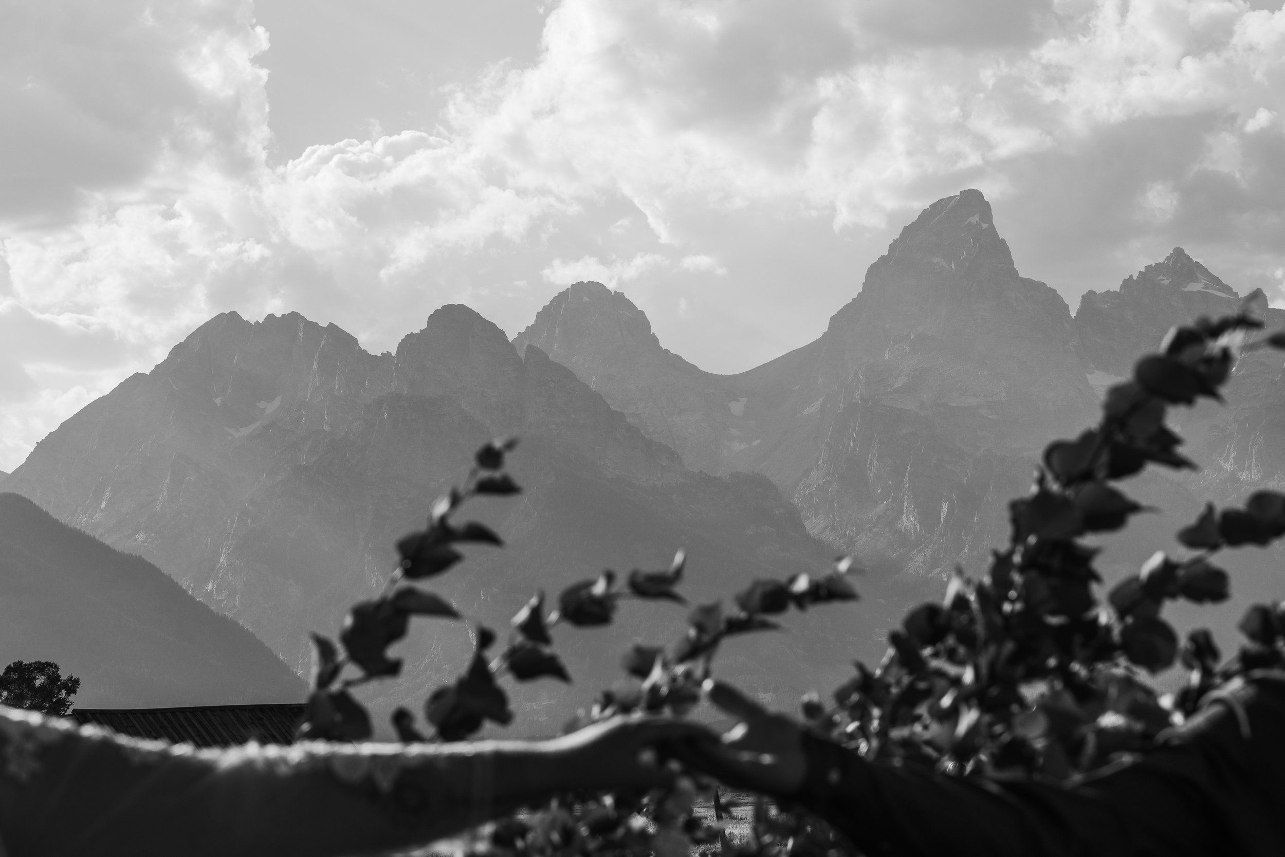 Where the wild meets in Wyoming: Elopement