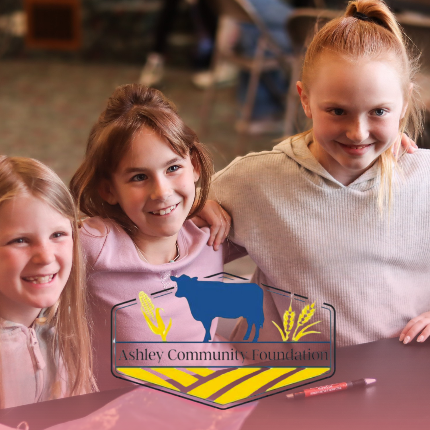 Ashley Community Foundation &amp; BIO Girls