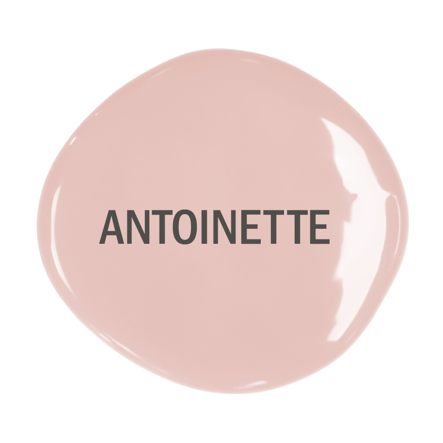  Antoinette 