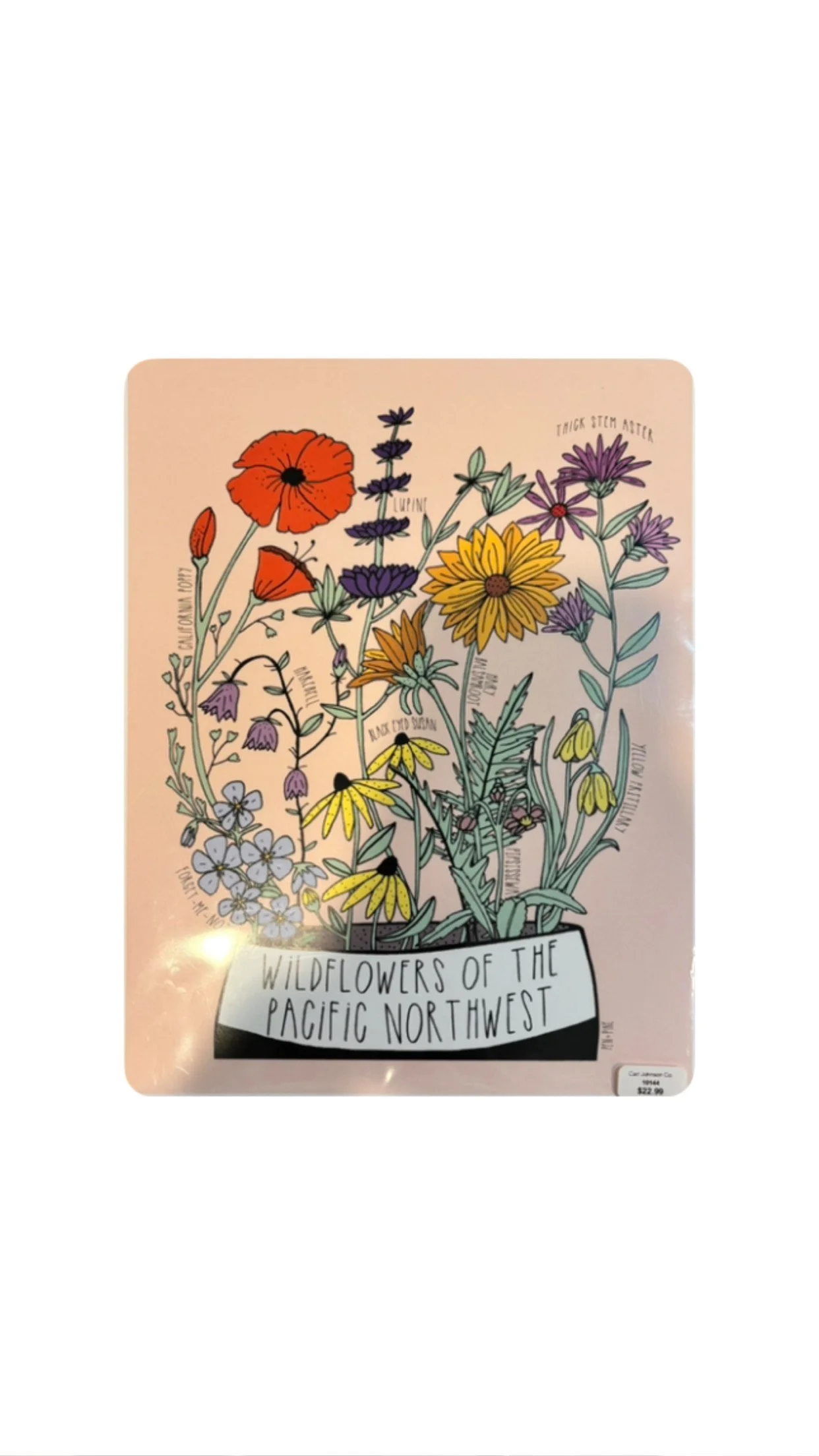 Wildflowers of the Pacific Northwest Print