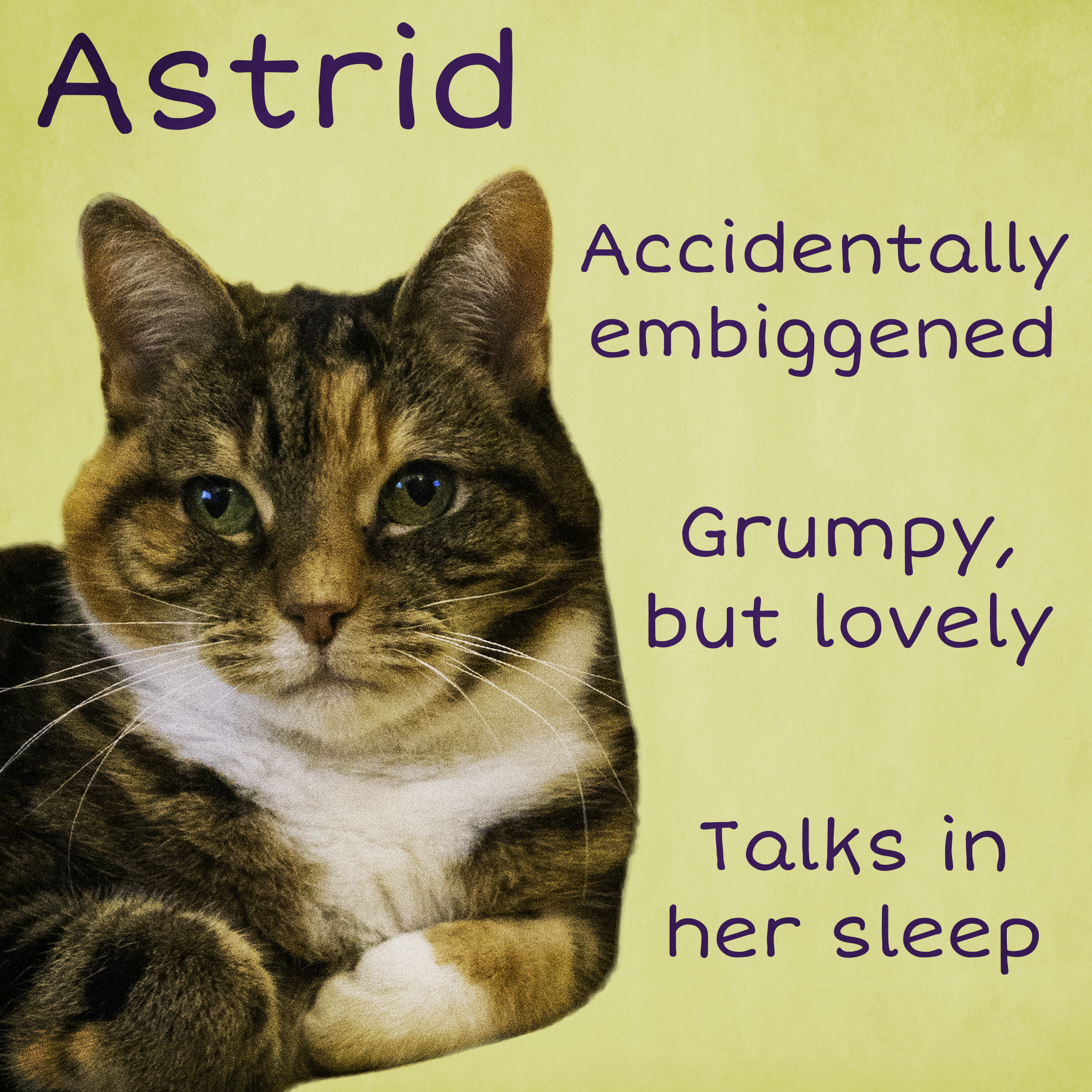 ASTRID poster.png