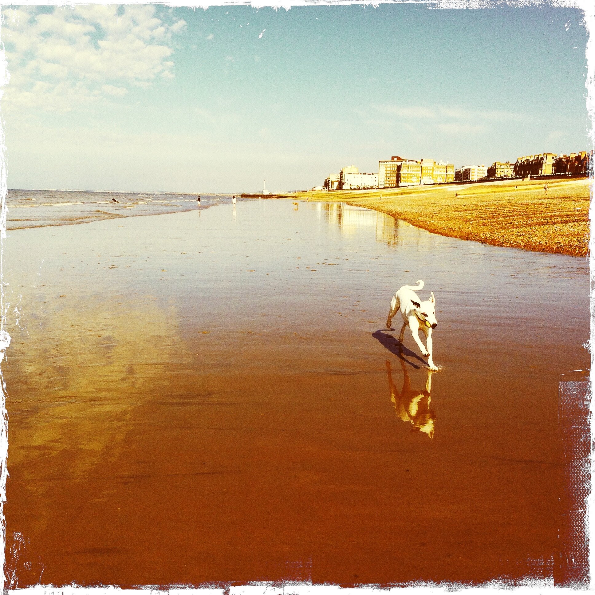 Digby, Brighton Beach