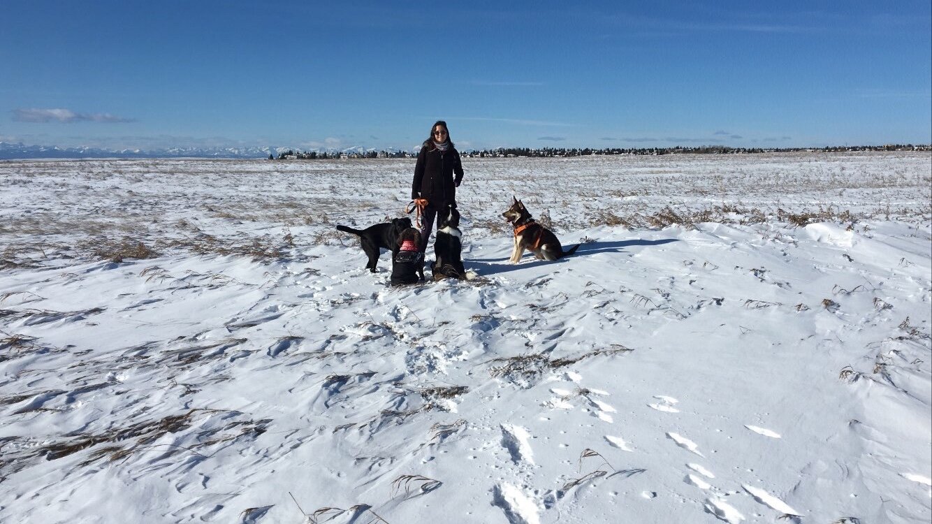 Emma and 'Digby &amp; Company' walking in Calgary