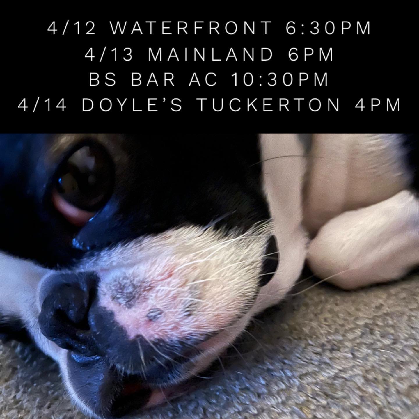 Busy weekend of gigs. Come on out and spend that tax refund!  #livemusic #bostonterrier #waterfront #forkedriver #mainland #manahawkin #bsbar #atlanticcity #doylespourhouse #tuckerton