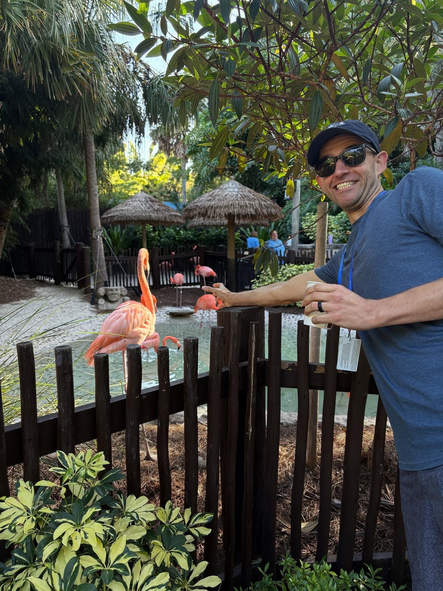 Oh, you haven&rsquo;t heard?  #birdlaw #discoverycove @stoddsky