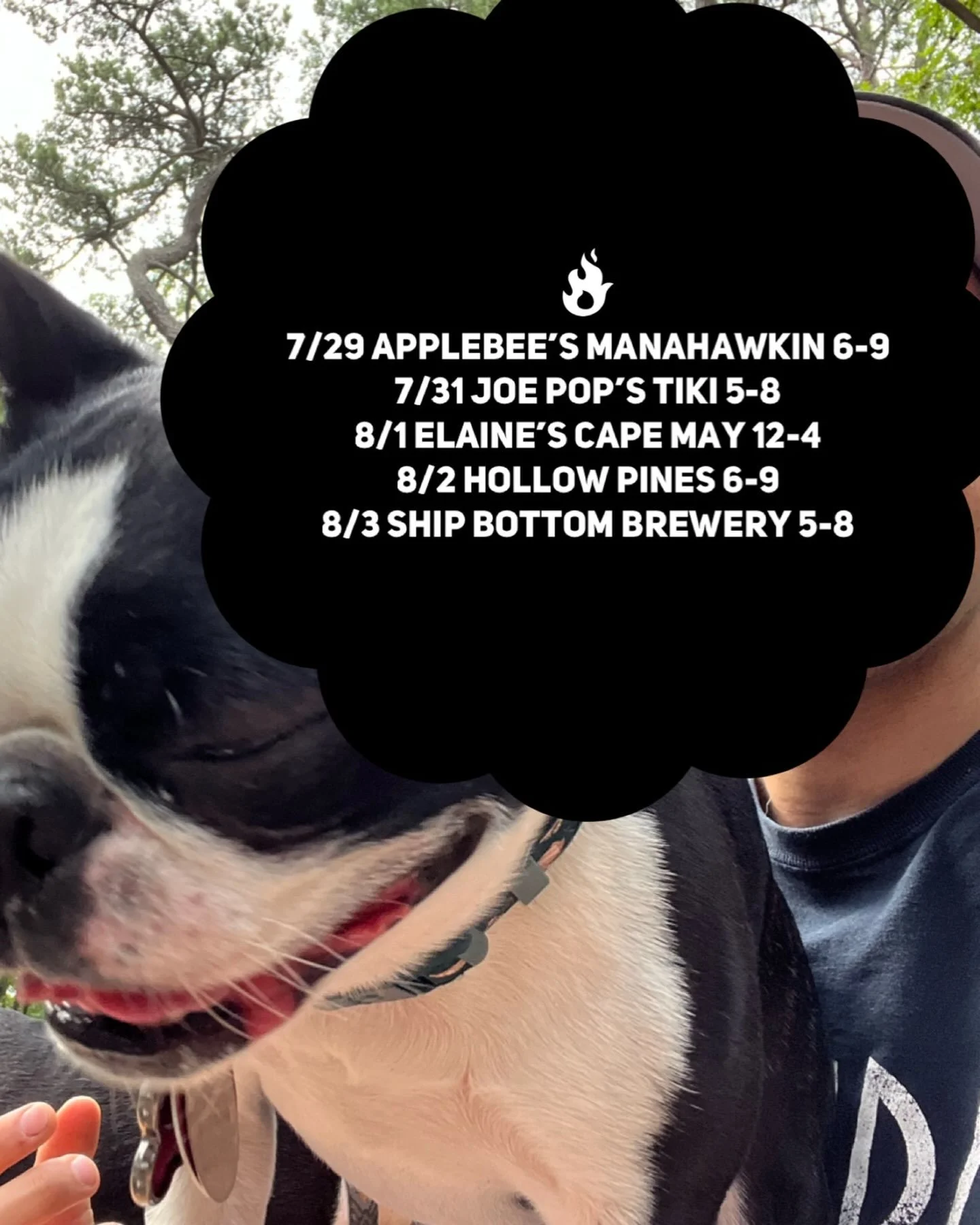 Entering the dog days of summer. Please note Third Wheel will not be at Bird &amp; Betty&rsquo;s this week as I&rsquo;ll be playing a wedding up north. We&rsquo;ll be back at our Thursday residency next week and still rocking Joe Pop&rsquo;s Tiki Bar