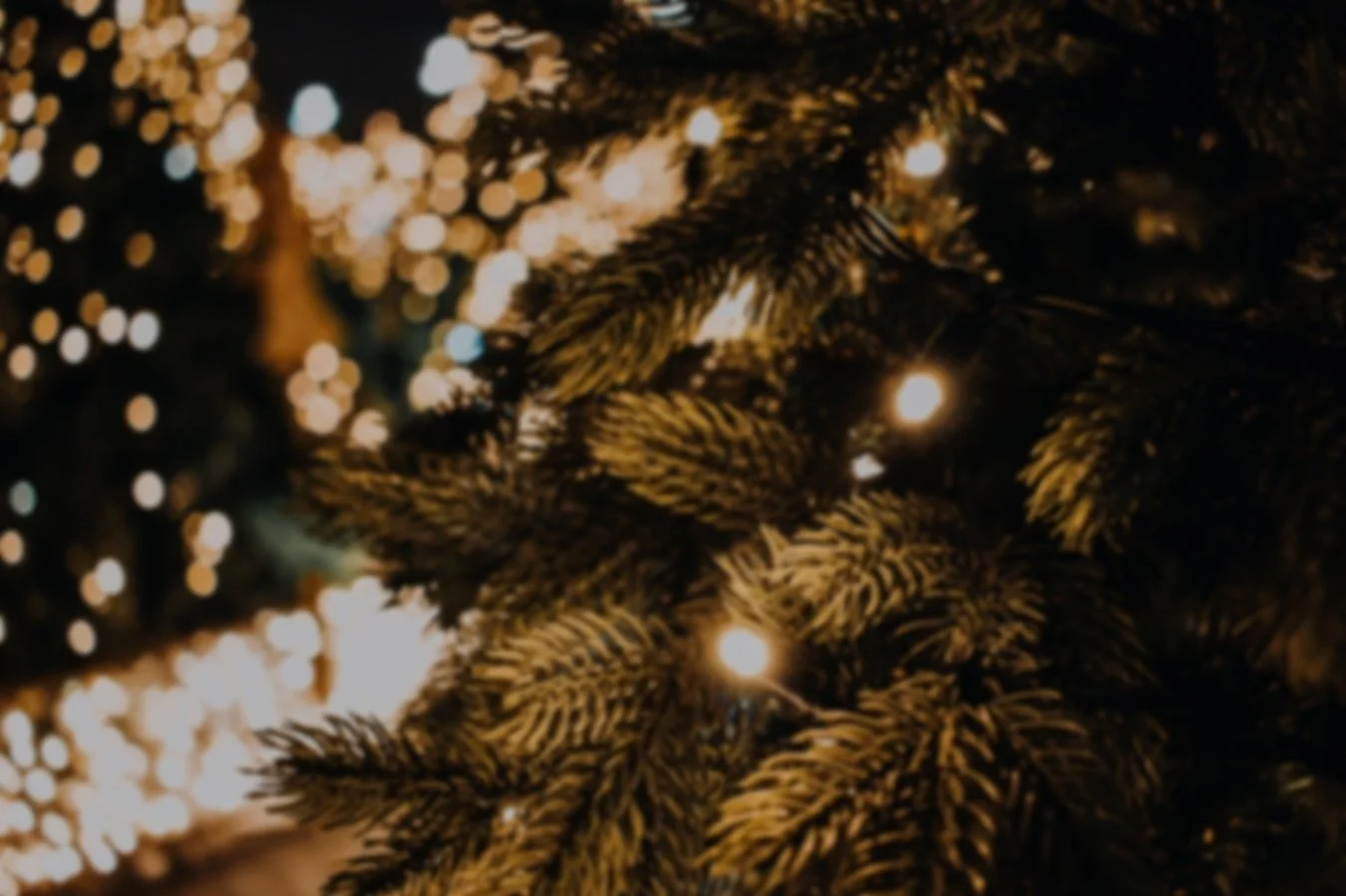 Christmas+Tree+Light.jpg