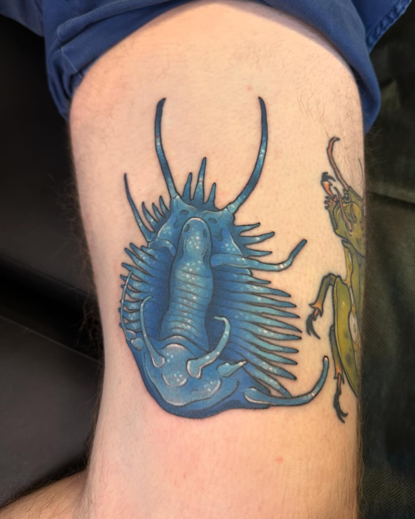 Big ole trilobite on the tender inner thigh for the coolest Chris✨ (w/ a shot of the one he gifted me at the end👌)
Thanks for collecting cool critters from me! Can&rsquo;t wait to add the scorpion next🦂🩸
.
.
.
#Tattoo #ladytattooers #ohiotattooers
