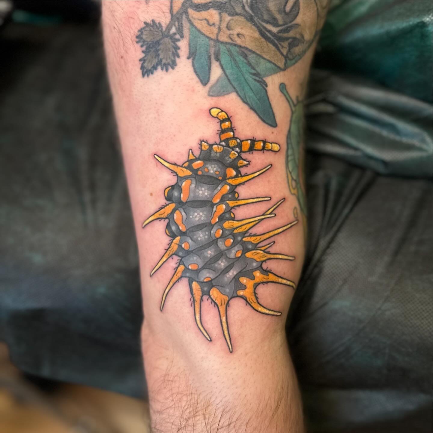 Little springtail for Arin✨ who&rsquo;s collected all the coolest bugs from me!! We&rsquo;re doin touch ups this week so I&rsquo;ll post some healed shots of all of them soon 👀
.
.
.
#Tattoo #ladytattooers #ohiotattooers #columbustattooers #whiterav