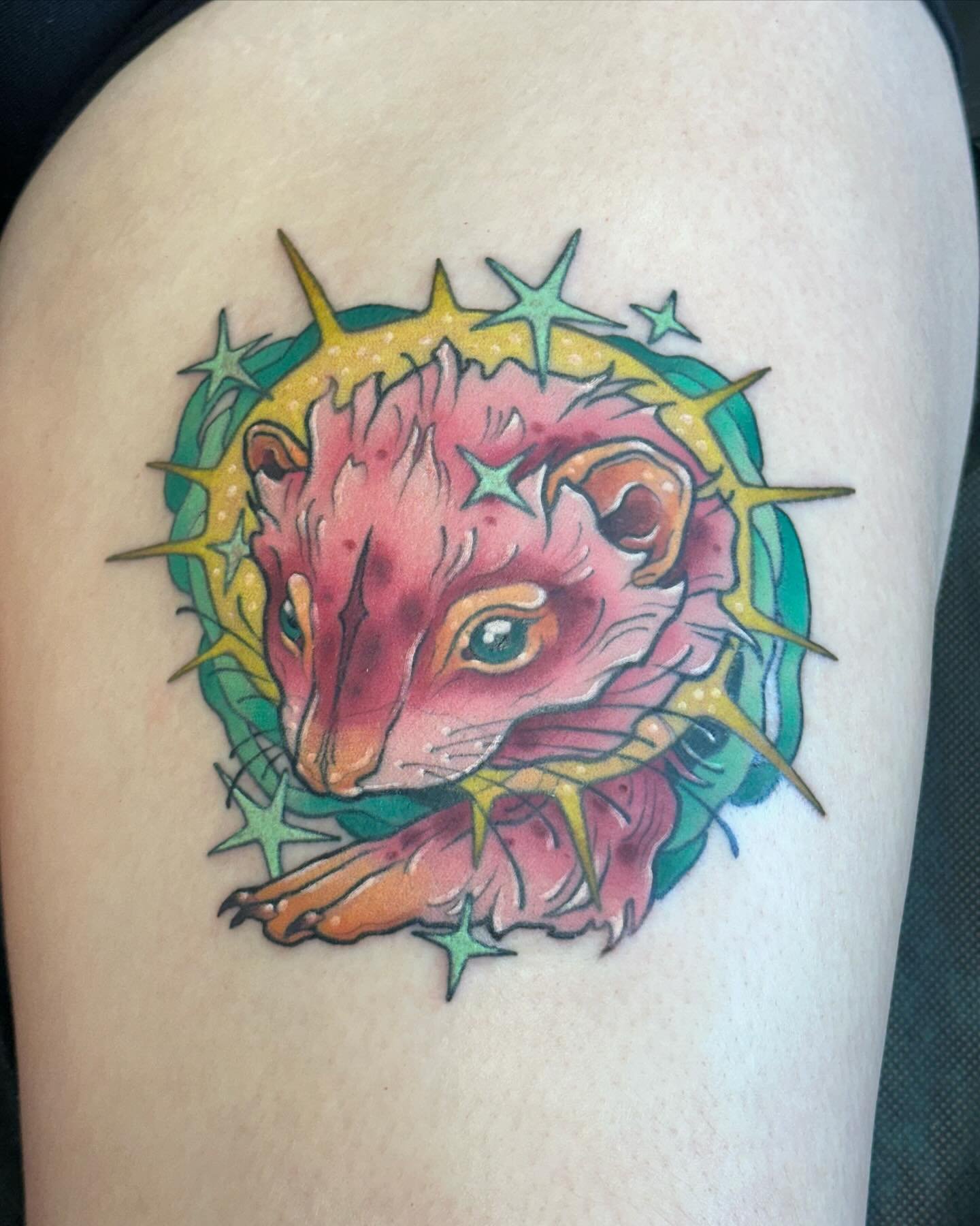 The sweetest ferret for Lauren, who is the best and has one of my earlier pieces as well! (Swipe to see a healed shot, we refreshed the color a while back but it was originally done in my first year of tattooing back in 2017 I believe!!)
Thanks for y