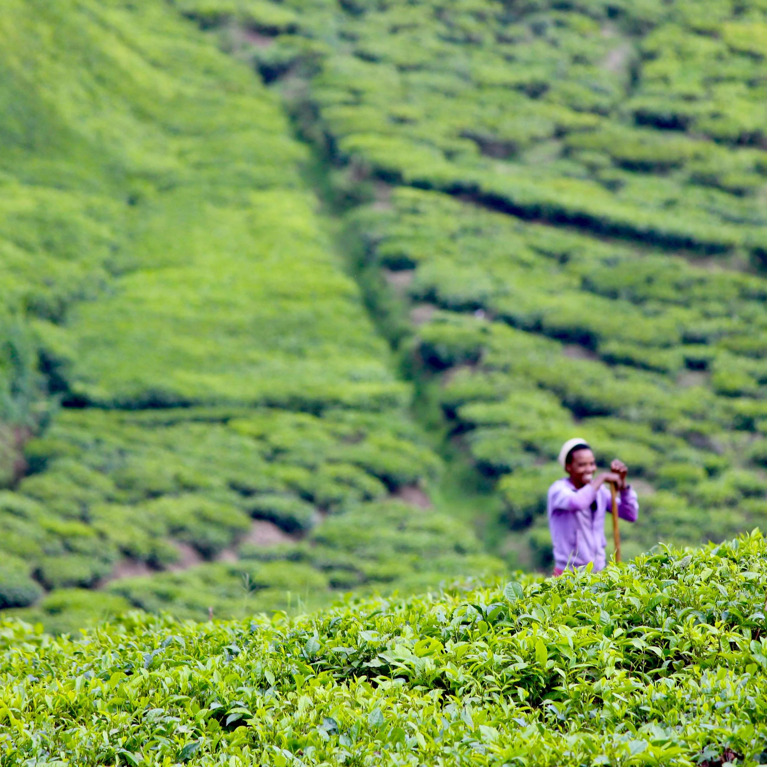 fullsizeoutput_75e copy.jpeg