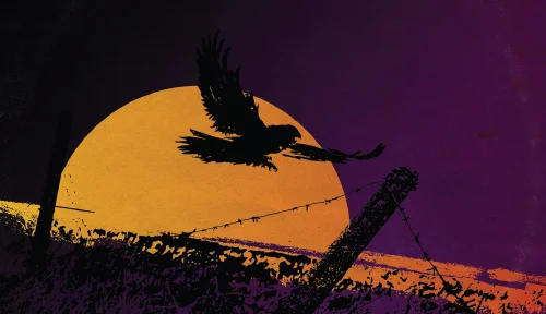 banner-1.jpg