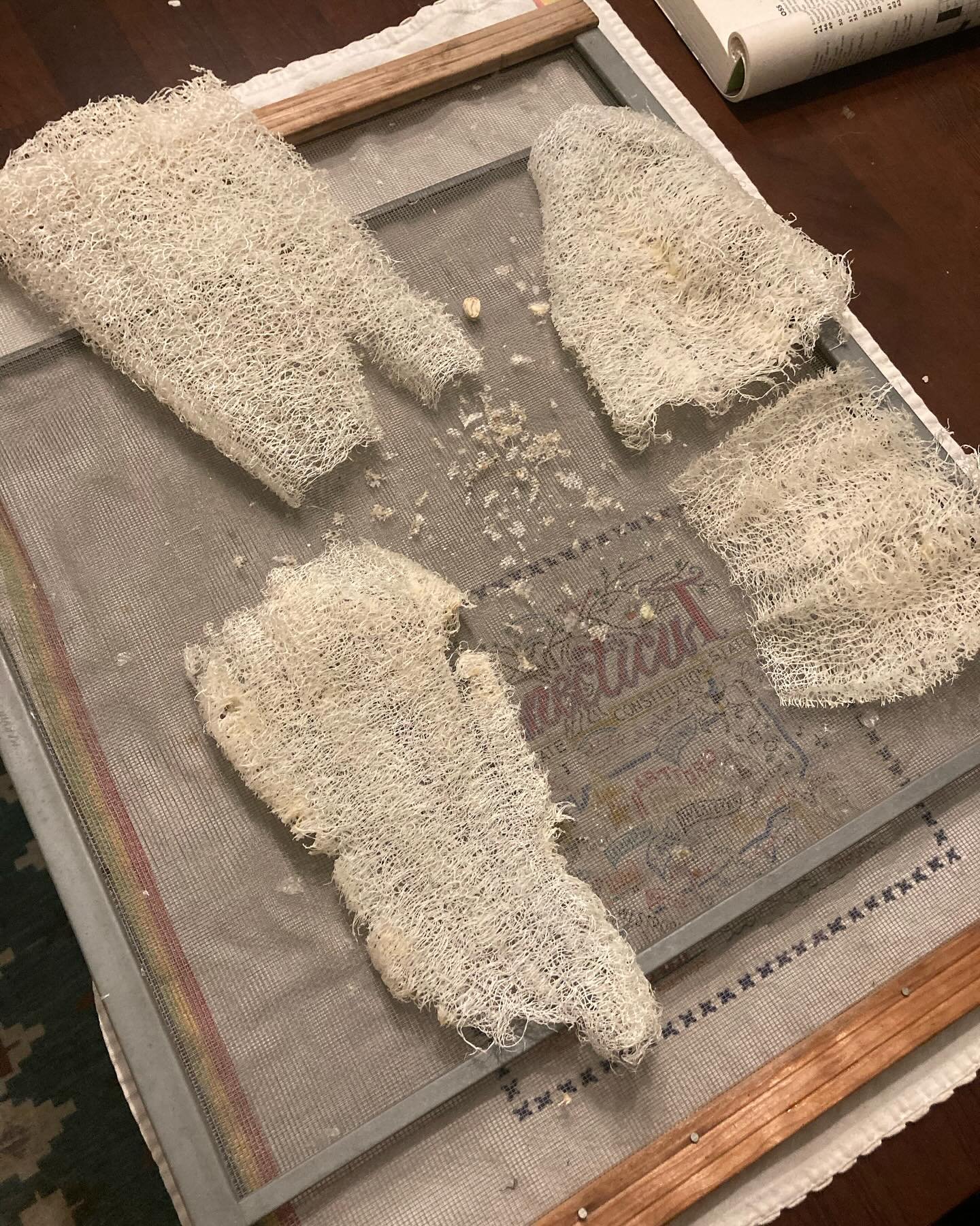 Luffa sponge sewing and a little knitting. I&rsquo;ve never been great at knitting.