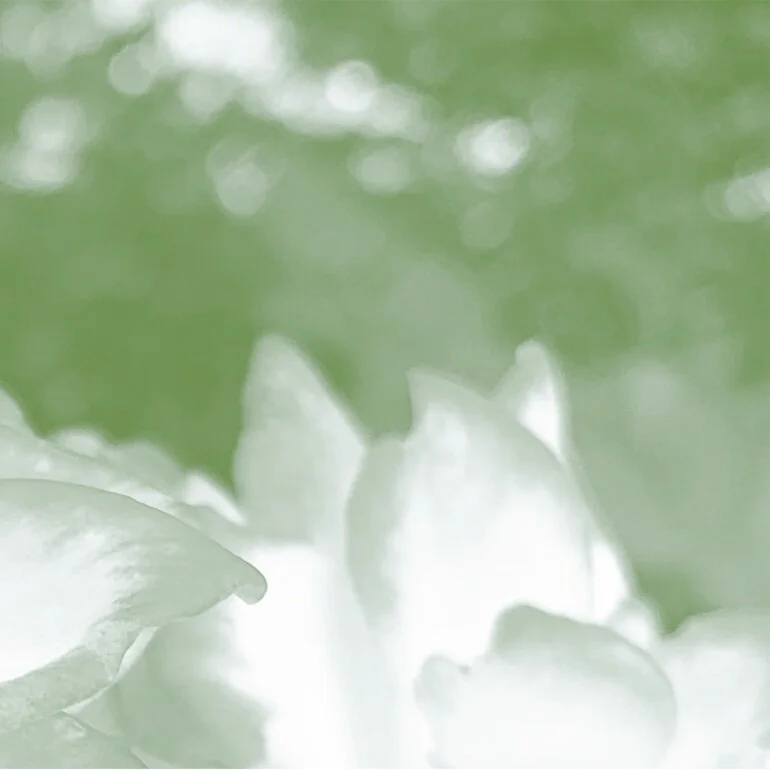 small pink flowers.png