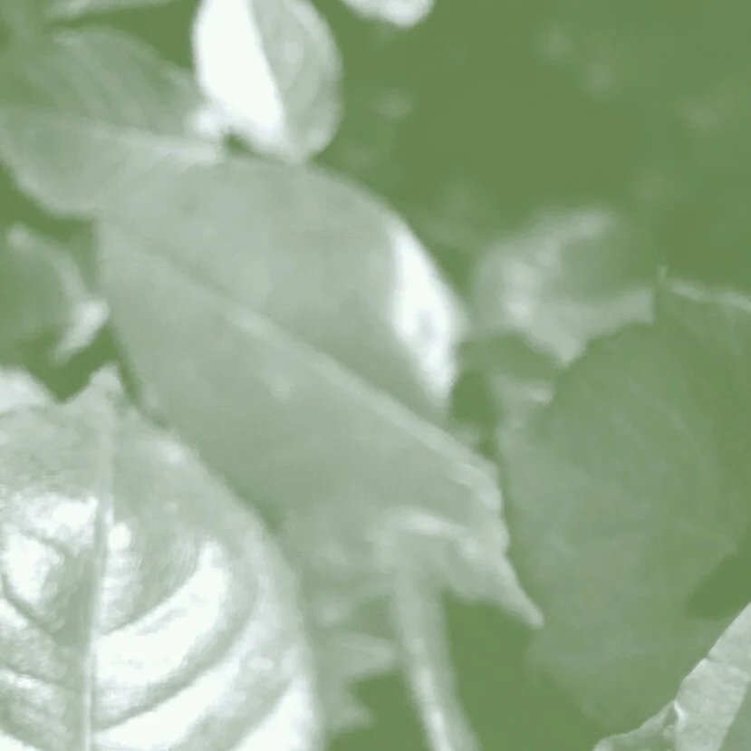 3-Minute Breathing Exercise