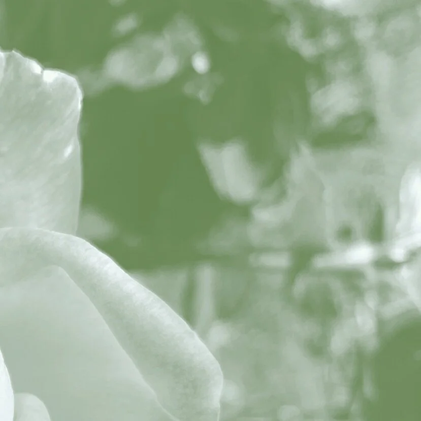 Body Scan (15 minutes)