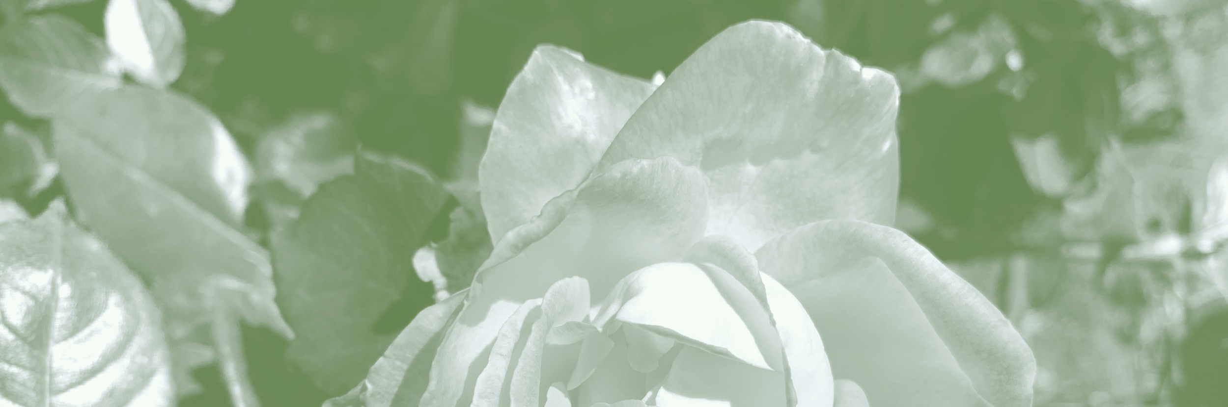 3-Minute Breathing Exercise for Stress Management