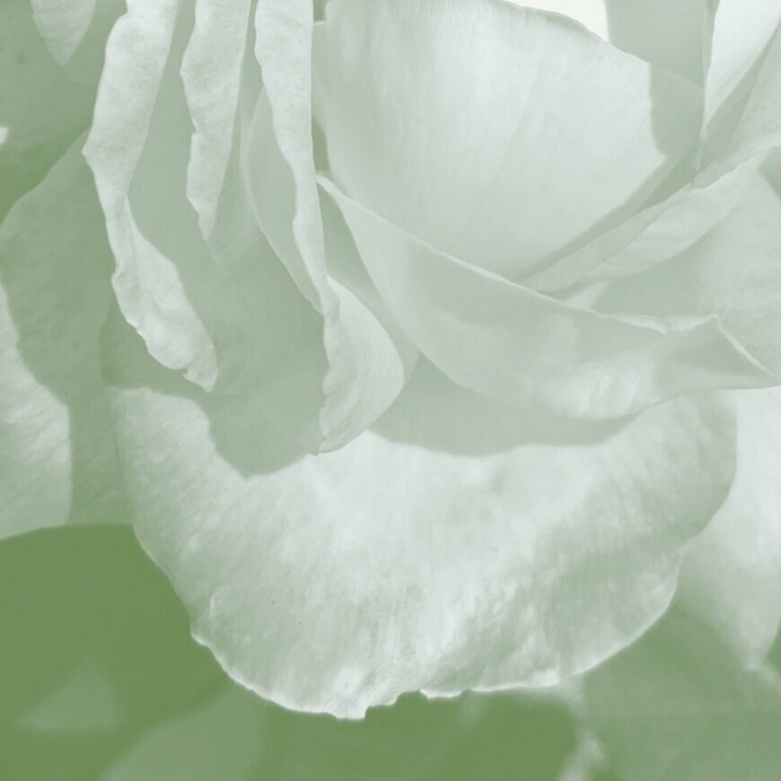 Loving Kindness Meditation