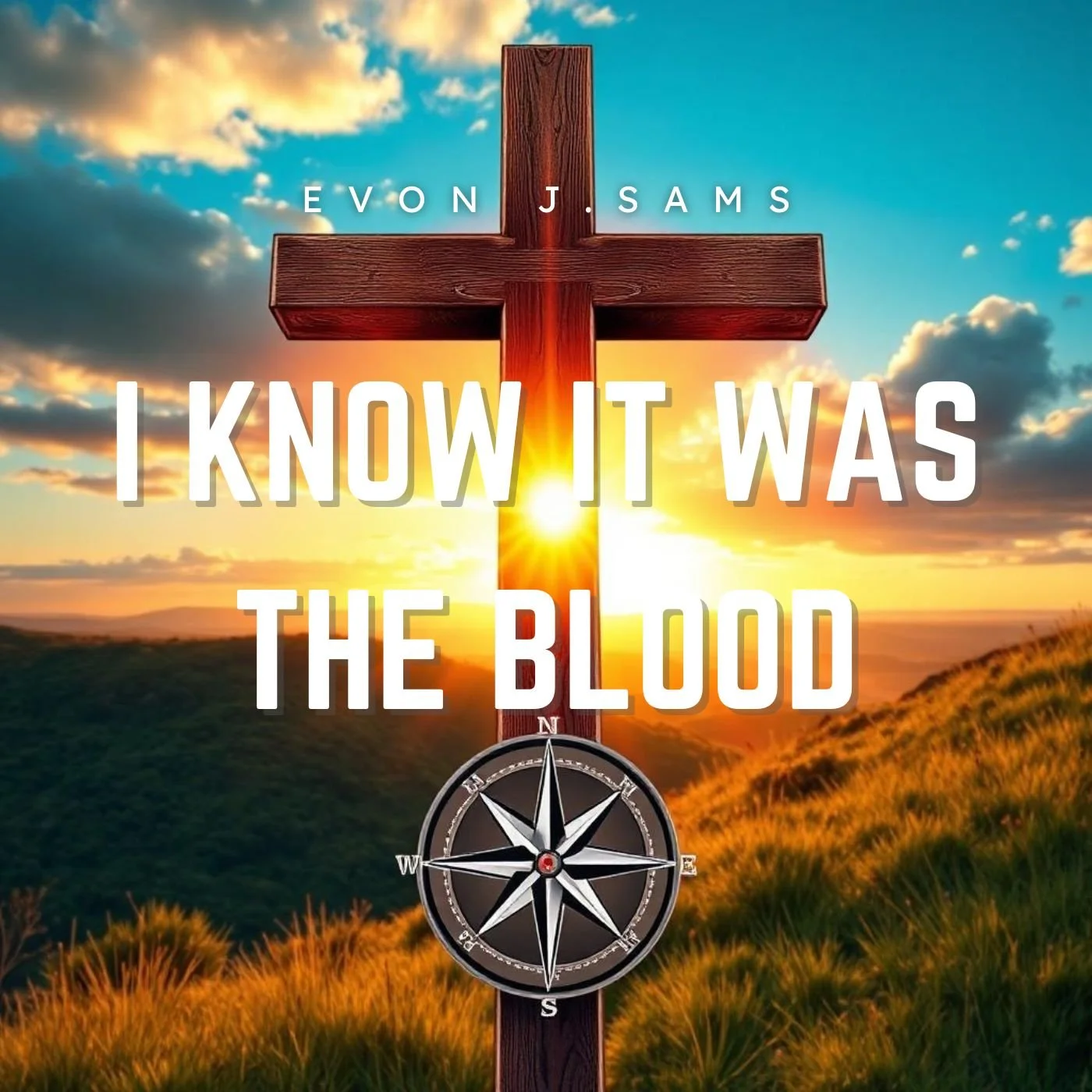 I Know it Was The Blood