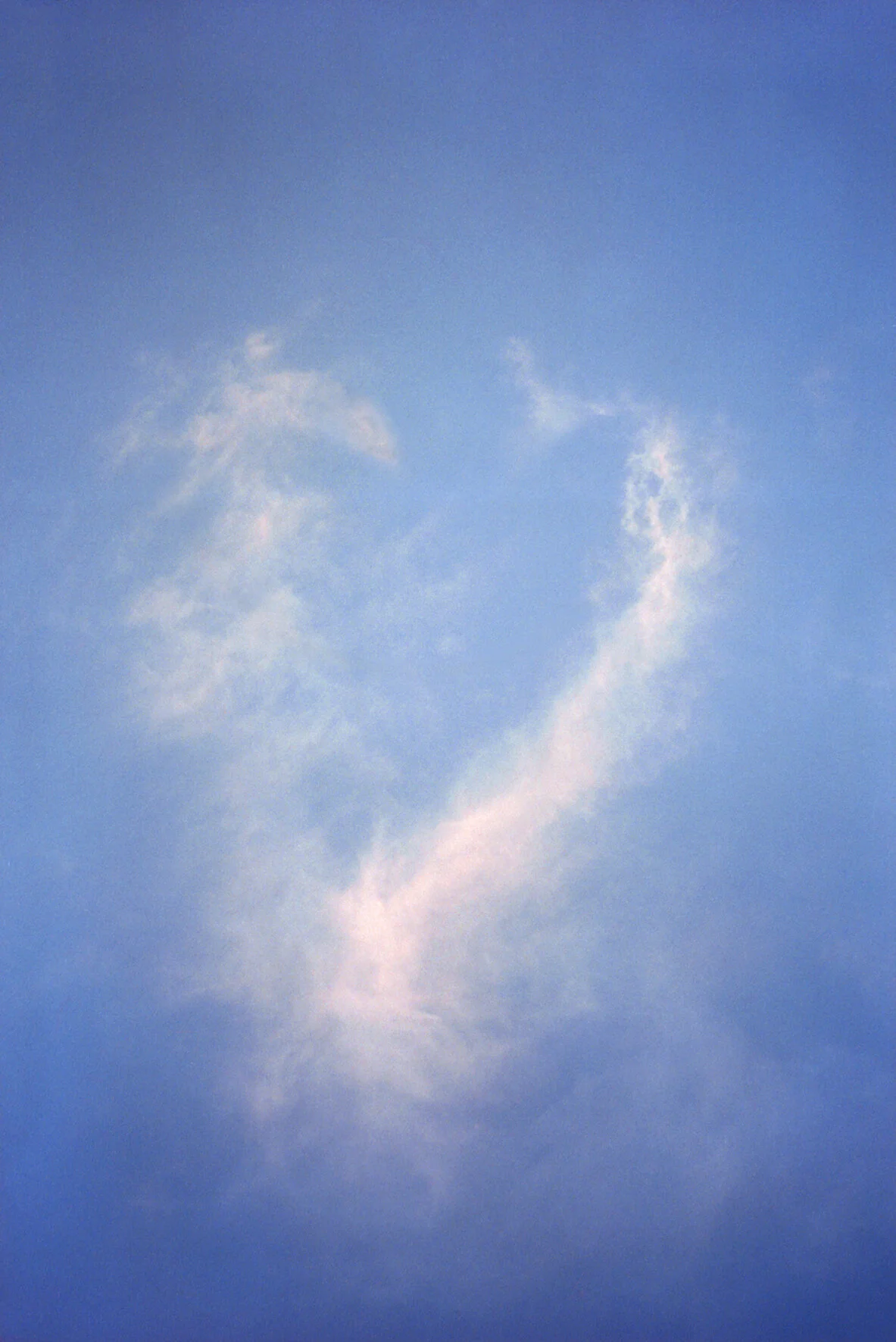 Fabrizio Ferri_hearts_014_2.jpg