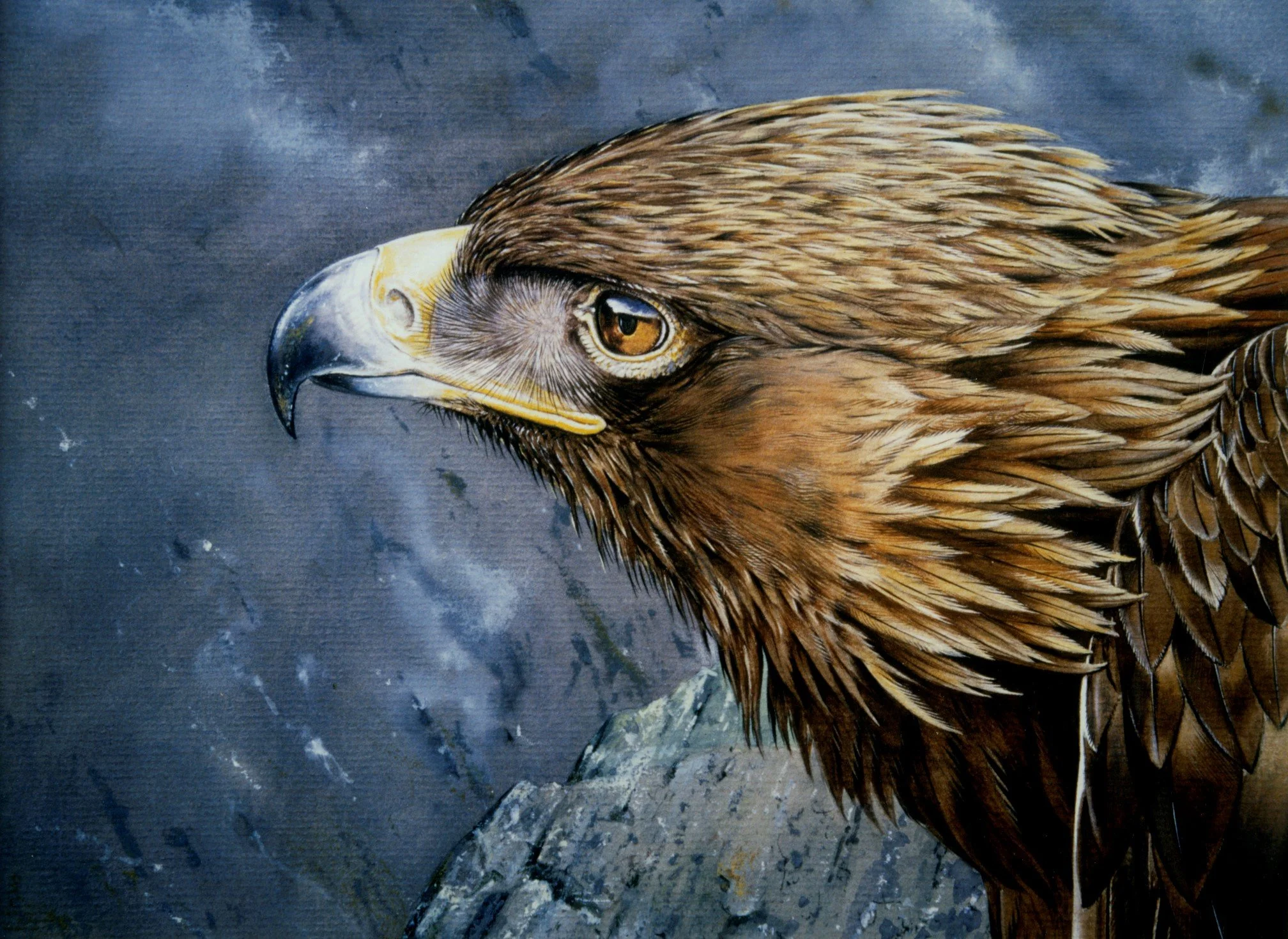 Upcoming Exhibitions for July