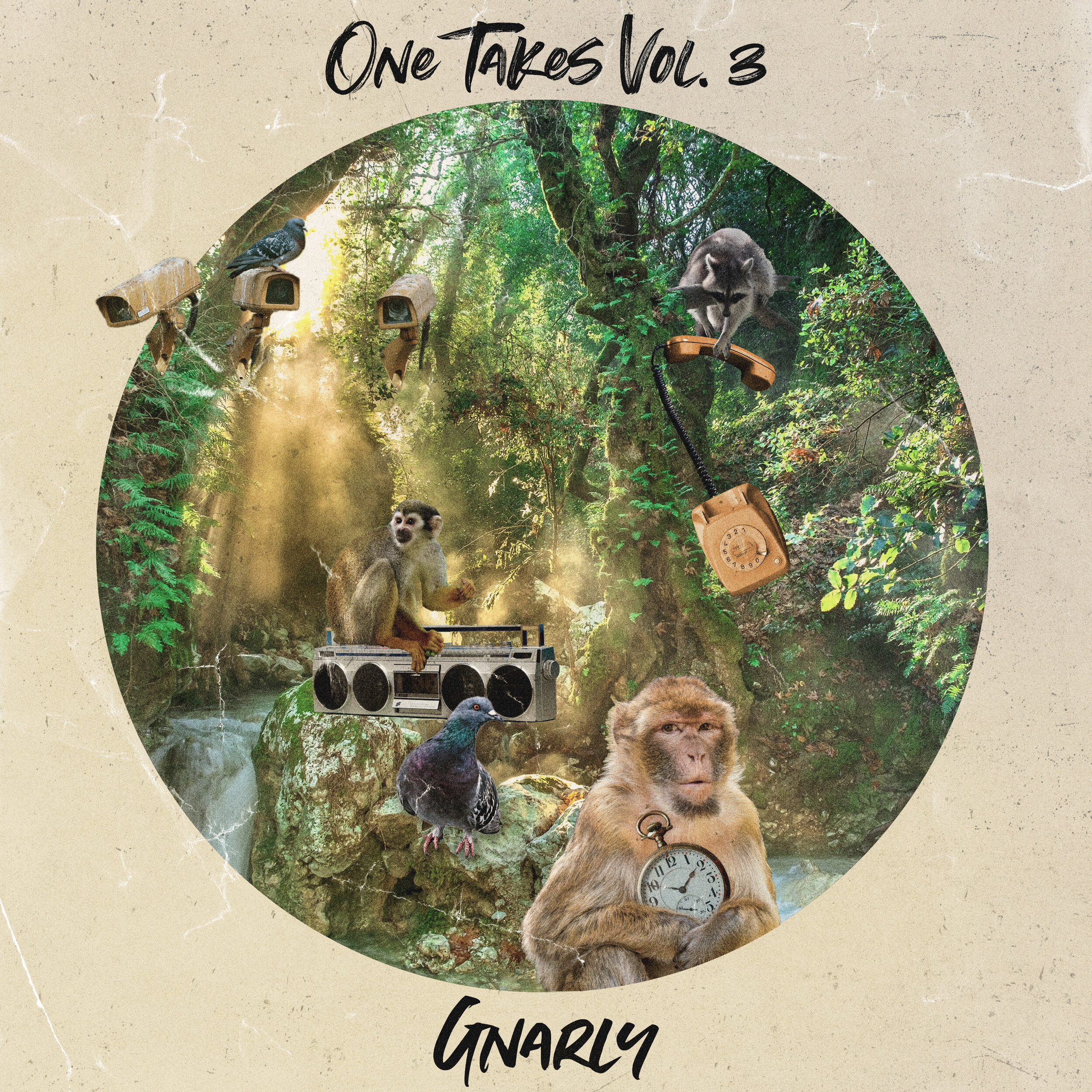 GNARLY-ONETAKESVOL3-ARTWORK.jpg