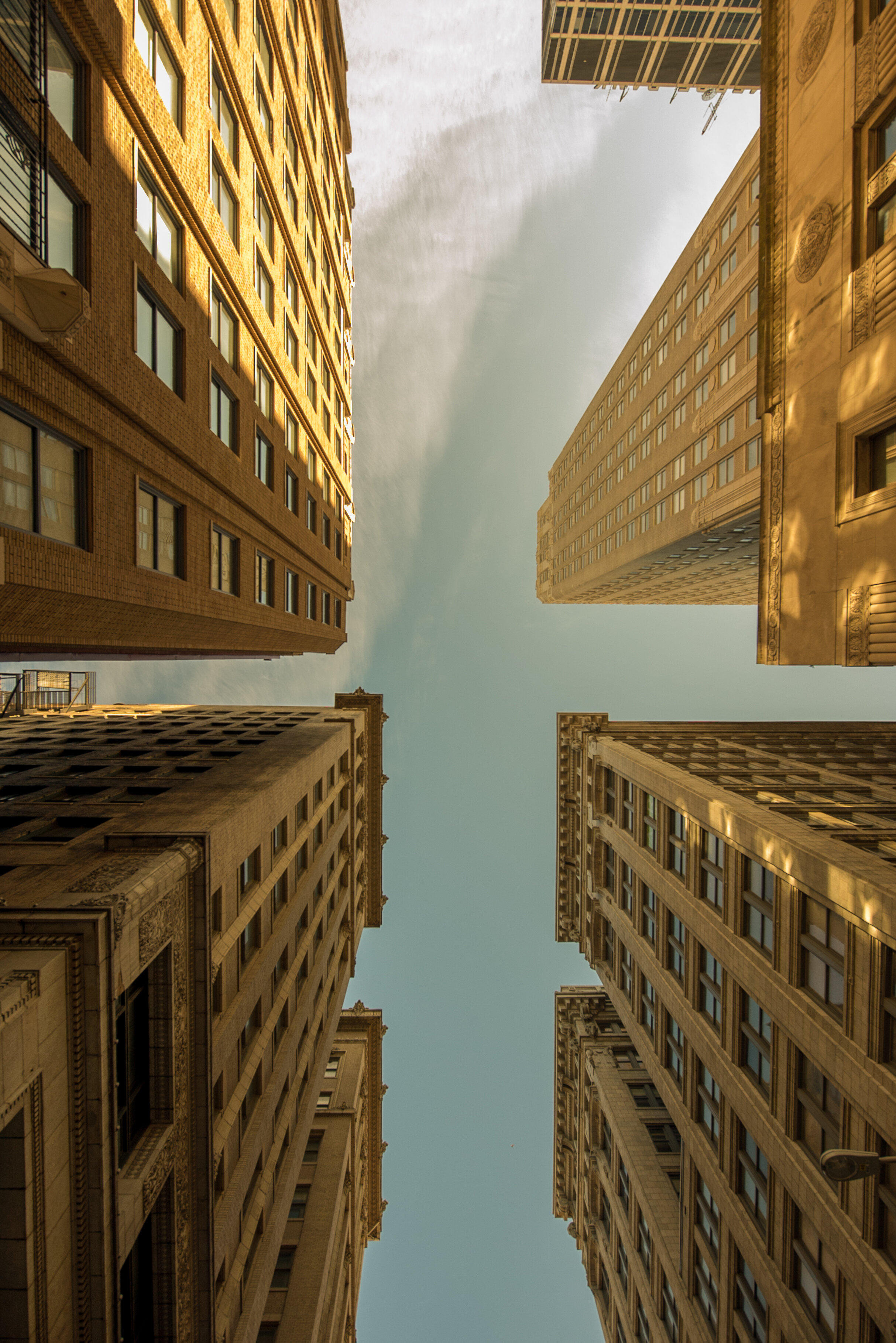architecture_1-2.jpg