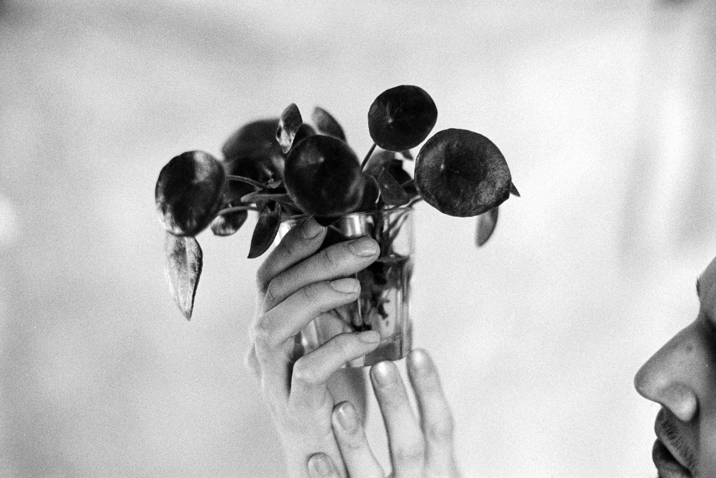 filmxlab_lauren_schrader_17_ilford_hp5+_400_22.jpg