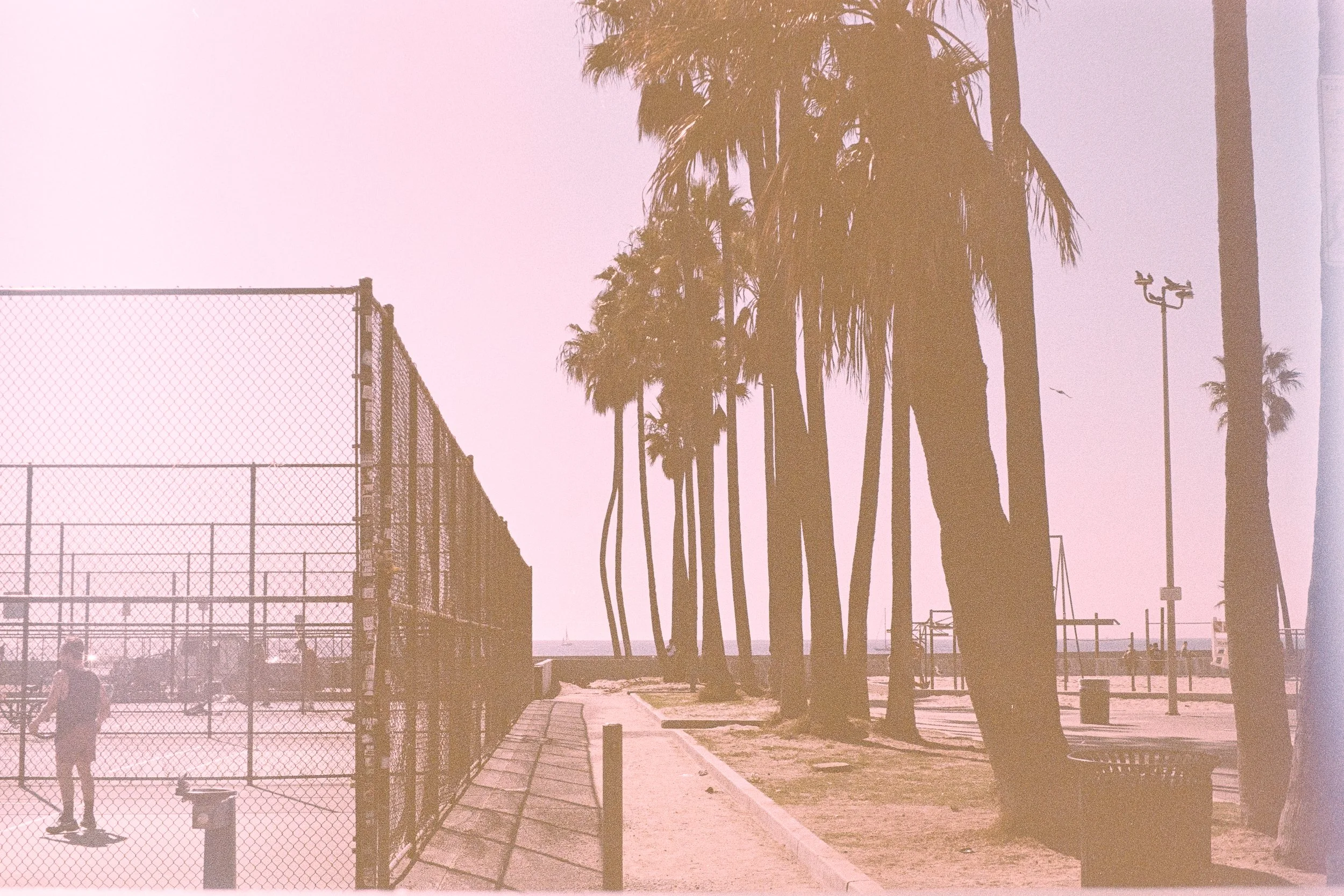 Venice Beach Natural Edit (18 of 40).jpg