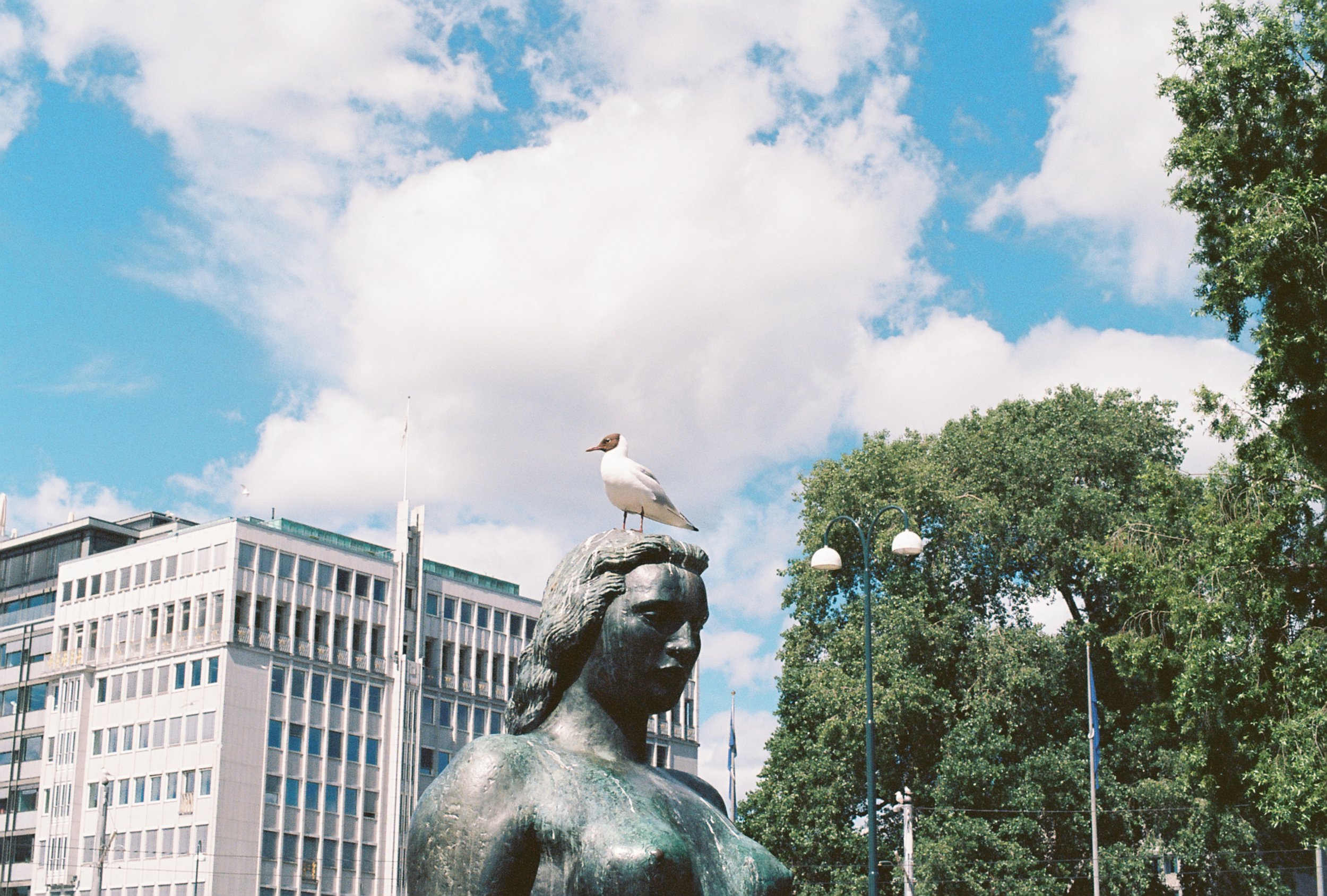 R1-06933-026A.JPG