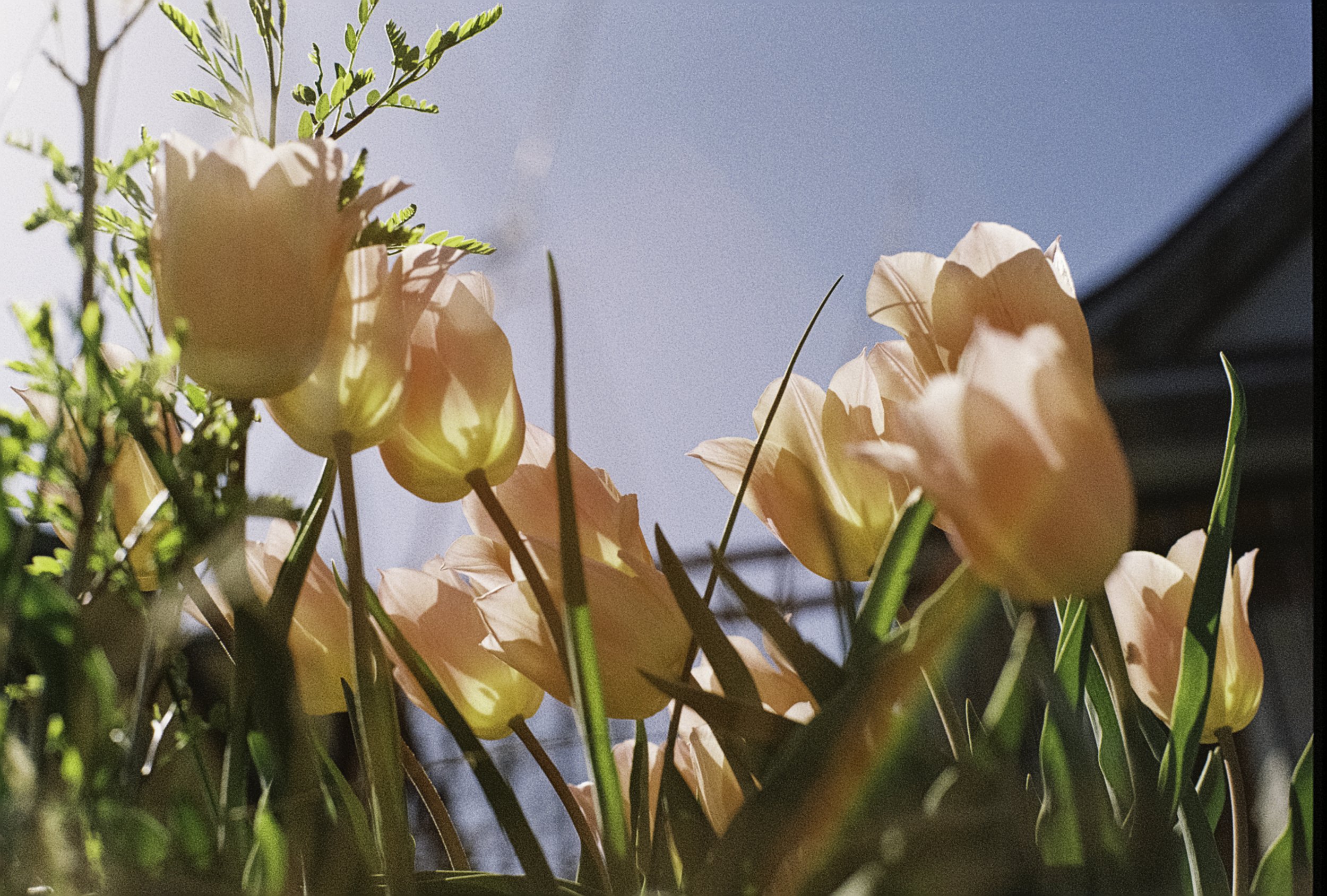 film march 2025-4.jpg