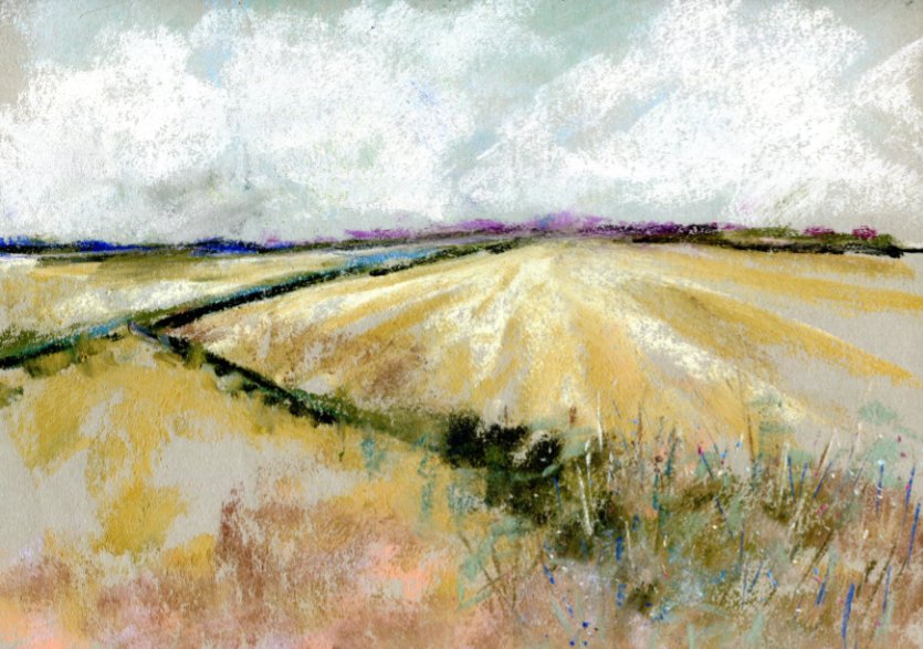 Irish Landscape Canvas Print