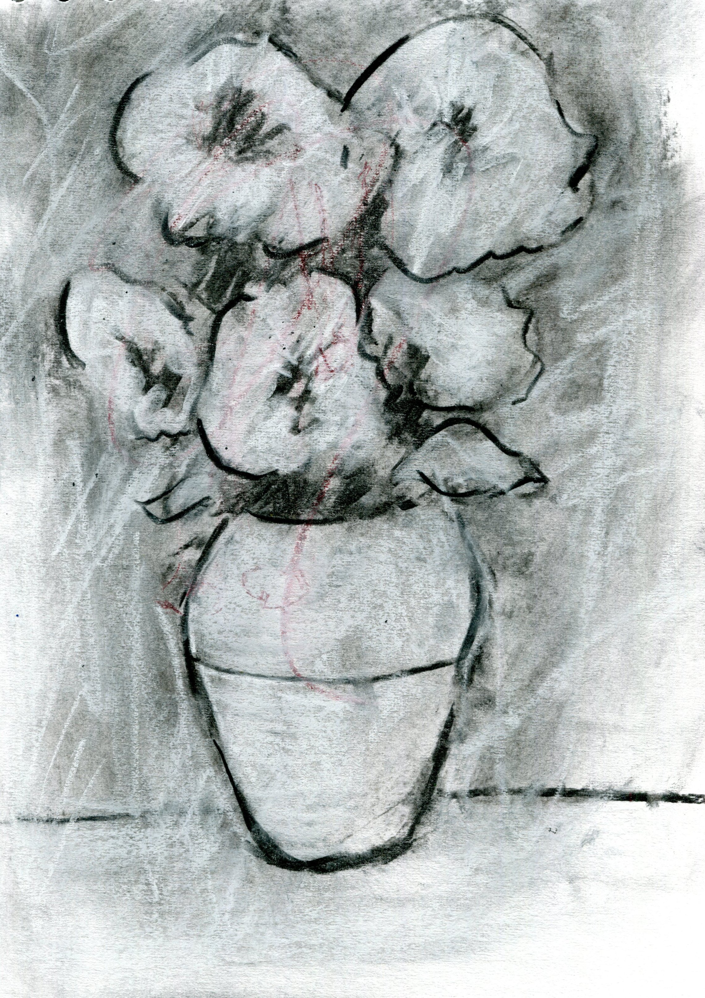 img384.jpg